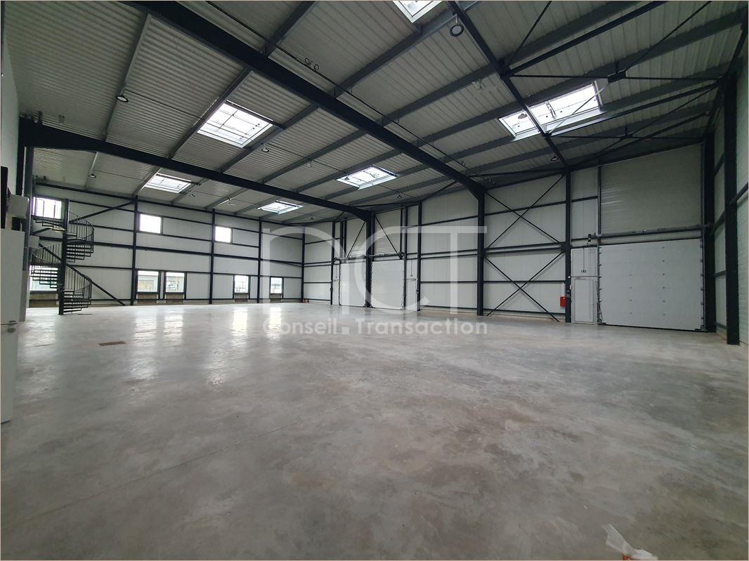 Local industriel  - 1 177m² - BAILLY ROMAINVILLIERS