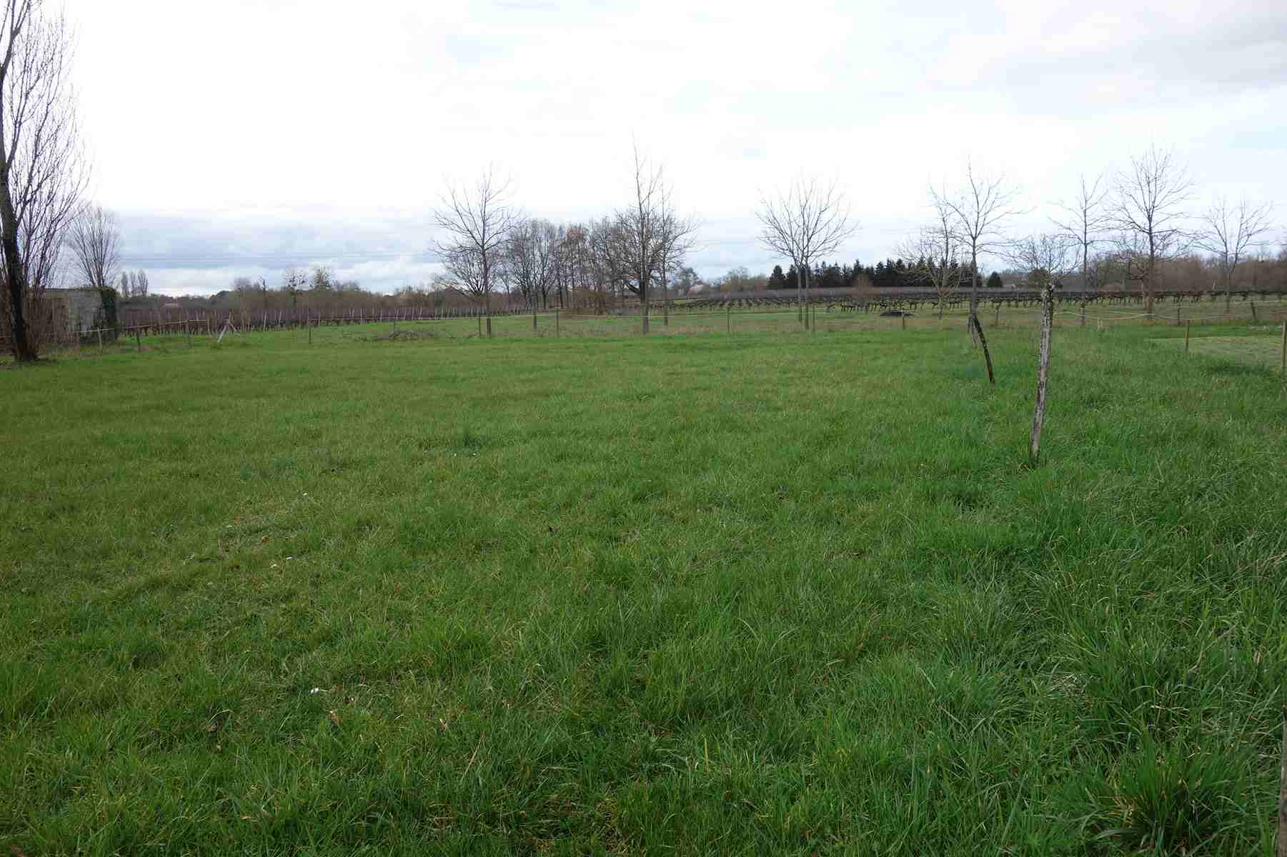 Terrain  - 1 005m² - CAMPUGNAN