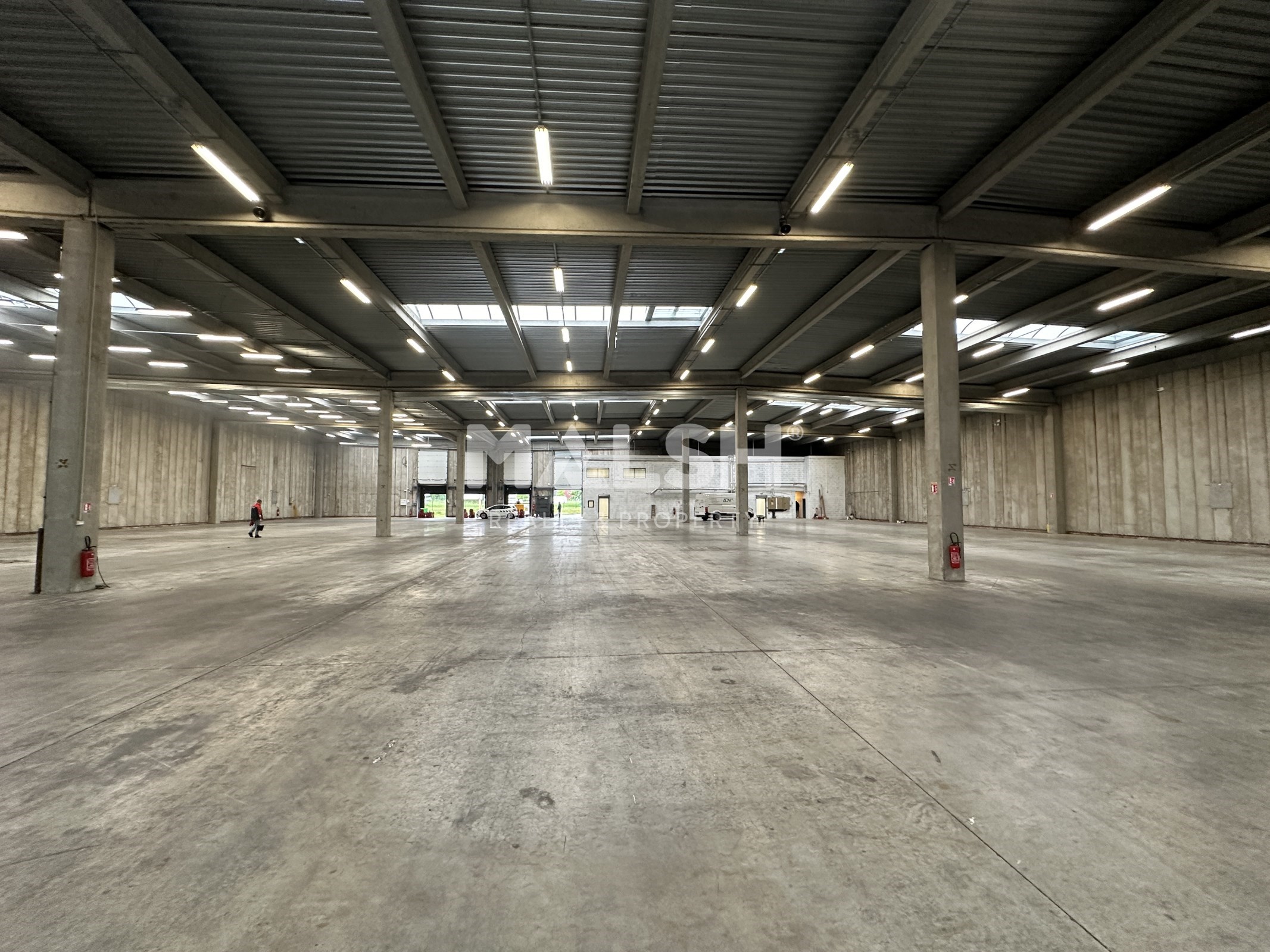 Local industriel  - 3 851m²