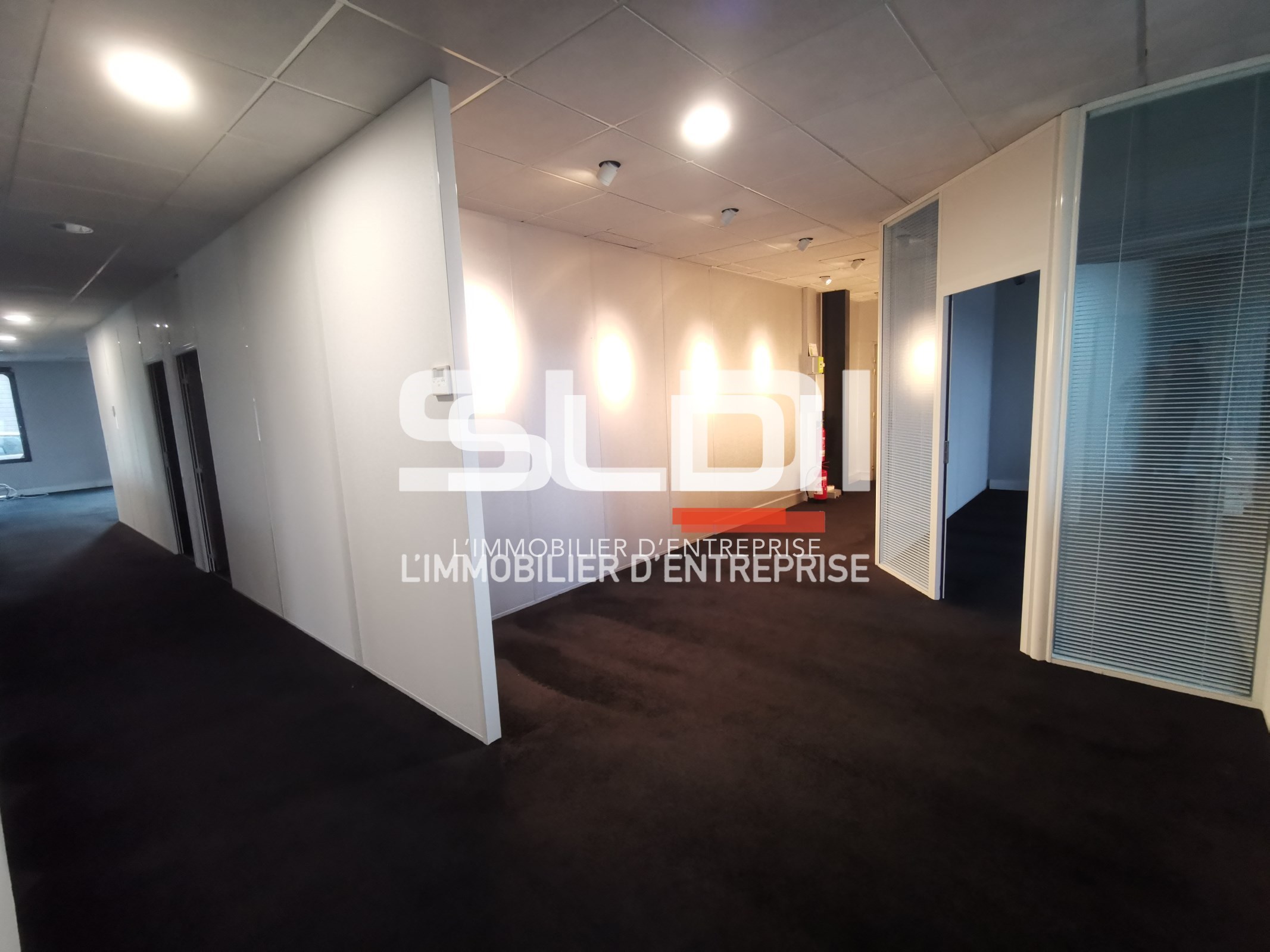 Local Professionnel  - 242m² - VAULX MILIEU