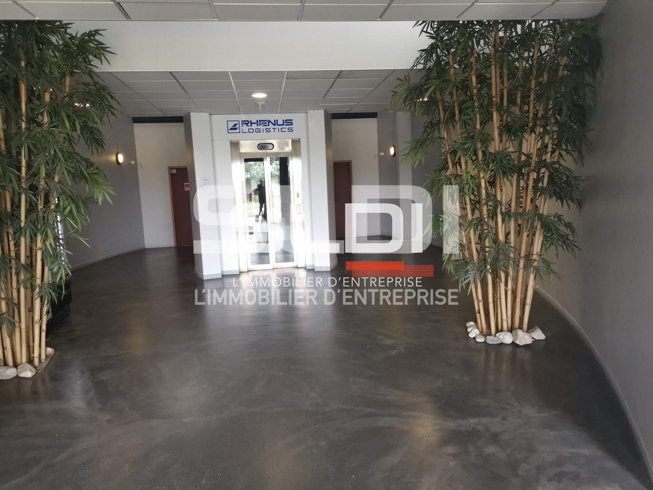 Local Professionnel  - 411m² - VAULX MILIEU