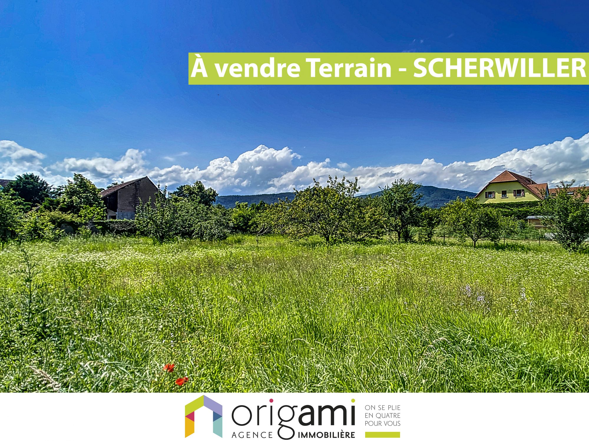 Terrain  - 1 118m² - SCHERWILLER