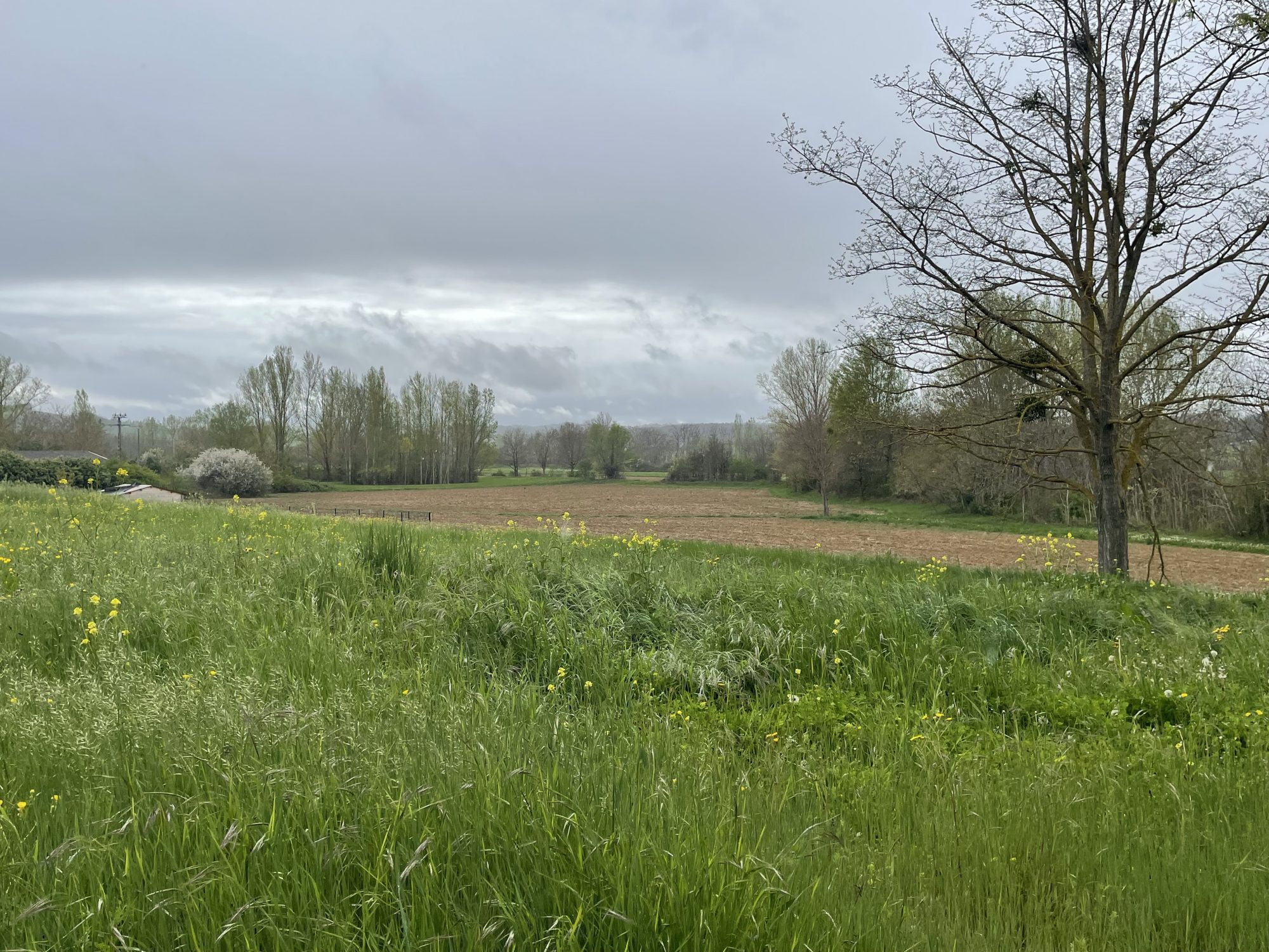 Terrain  - 1 500m² - STE SUZANNE