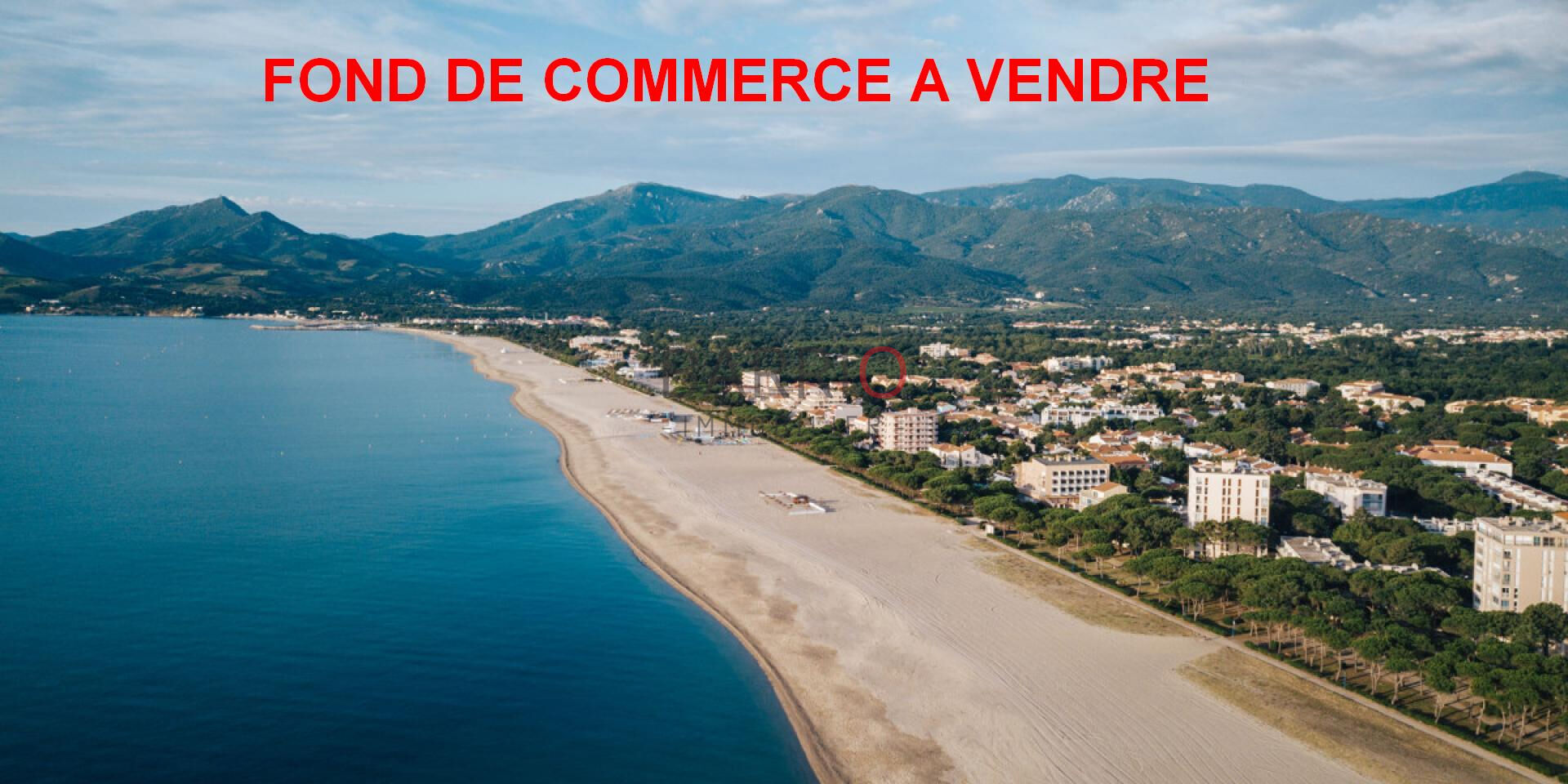 Fonds de commerce 