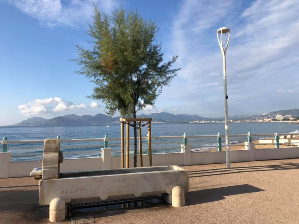 Fonds de commerce  - CANNES