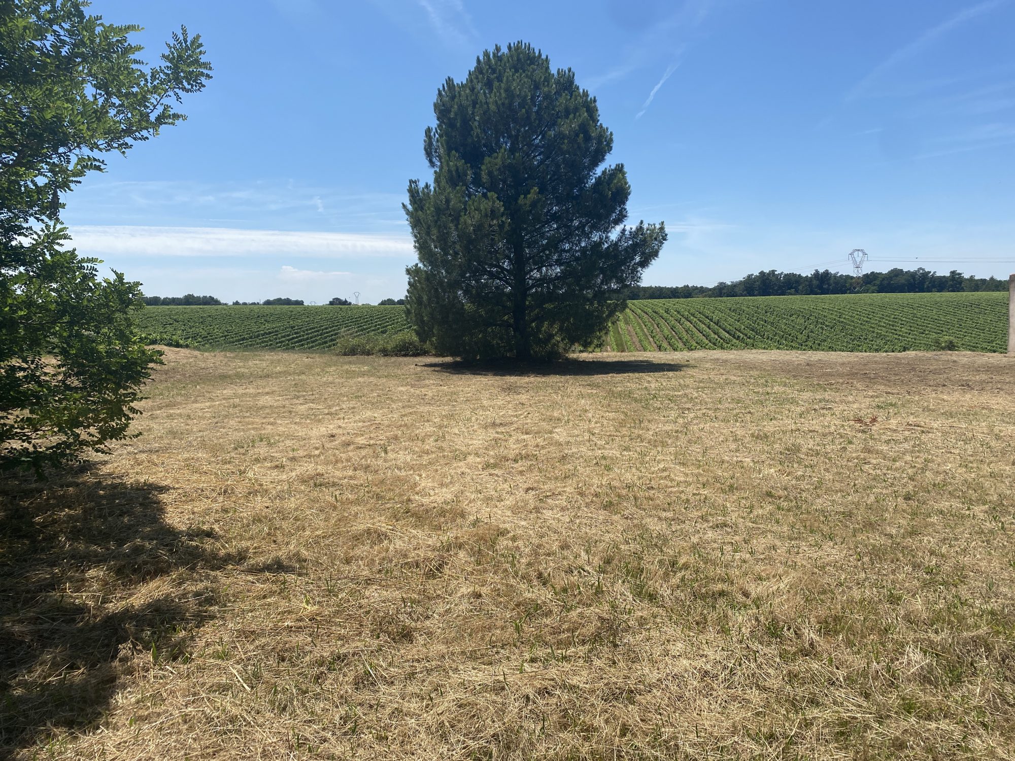 Terrain  - 800m² - GAILLAC