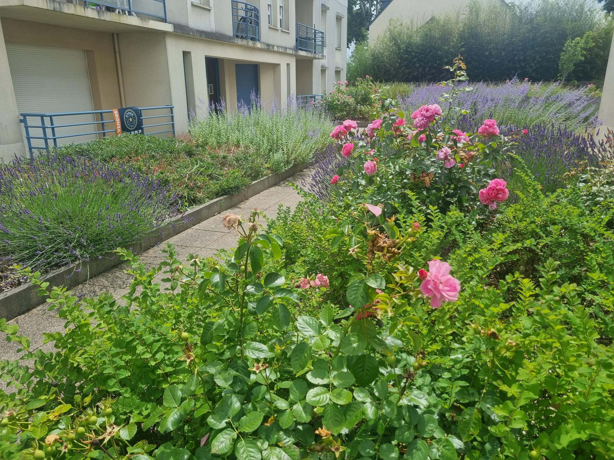 Appartement 3 pièces - 60m² - ANGERS