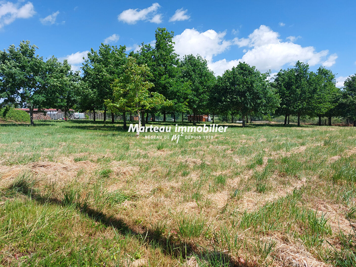 Terrain  - 1 664m²