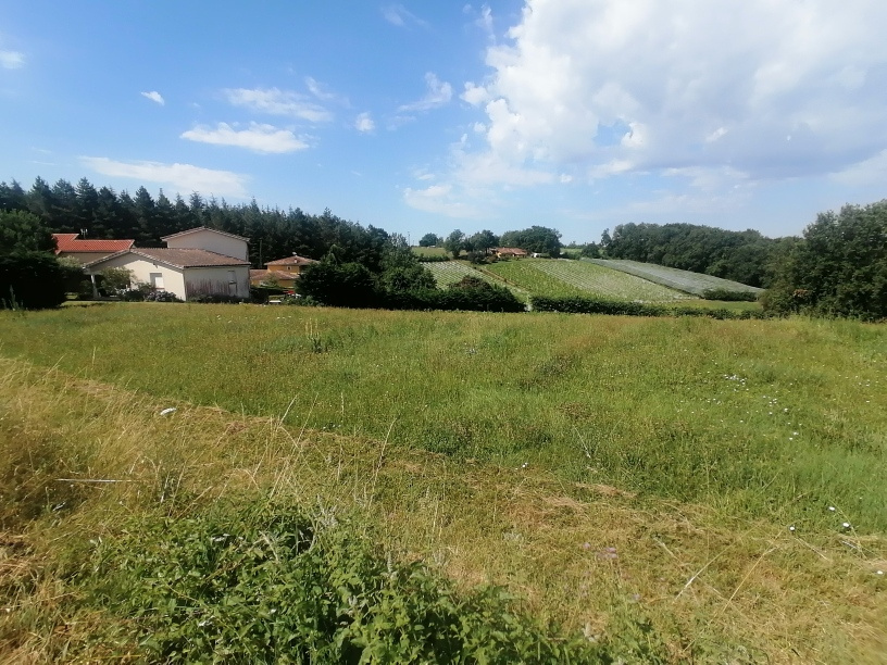 Terrain  - 1 500m² - MOISSAC