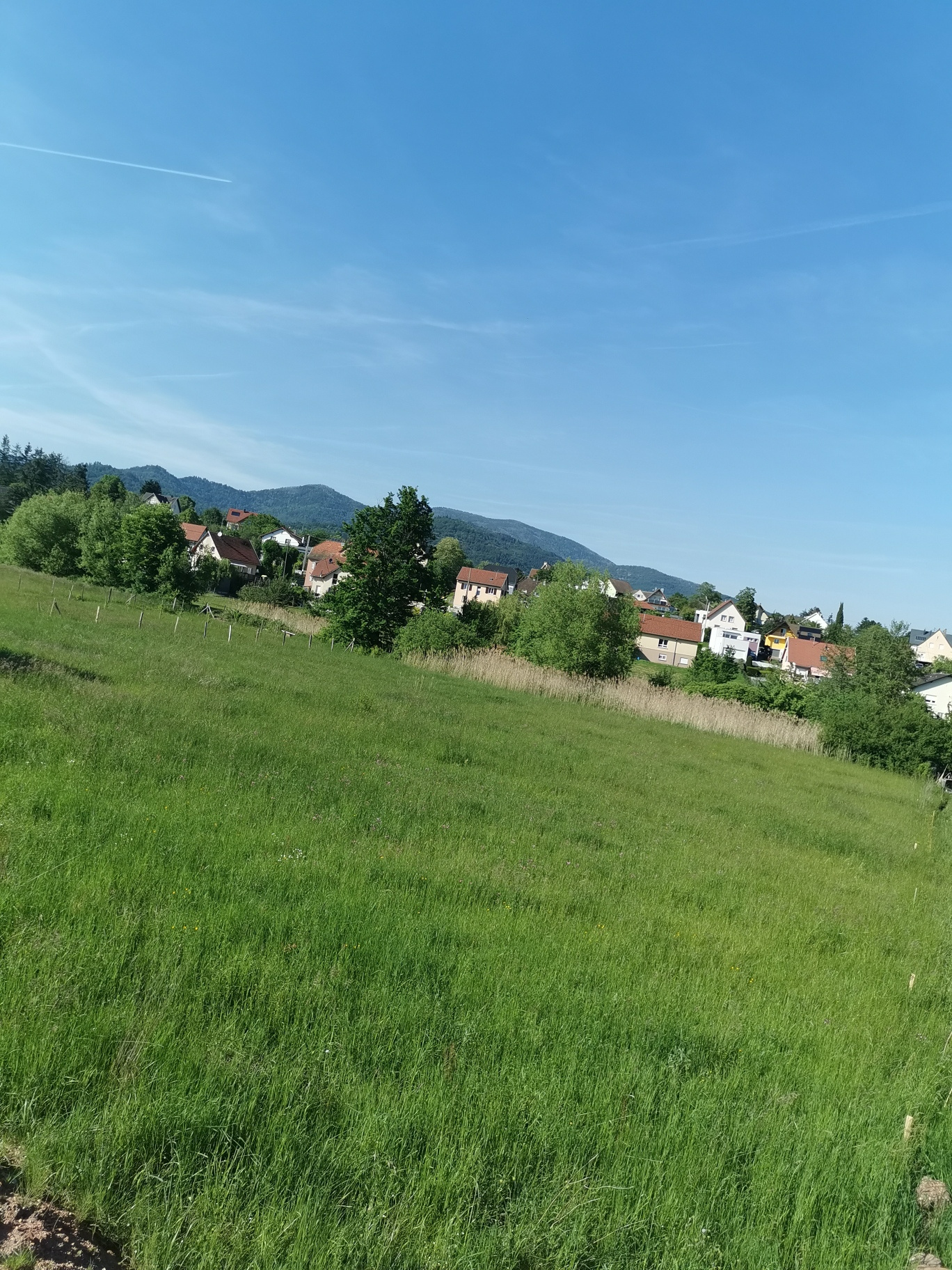 Terrain  - 2 250m² - LEIMBACH