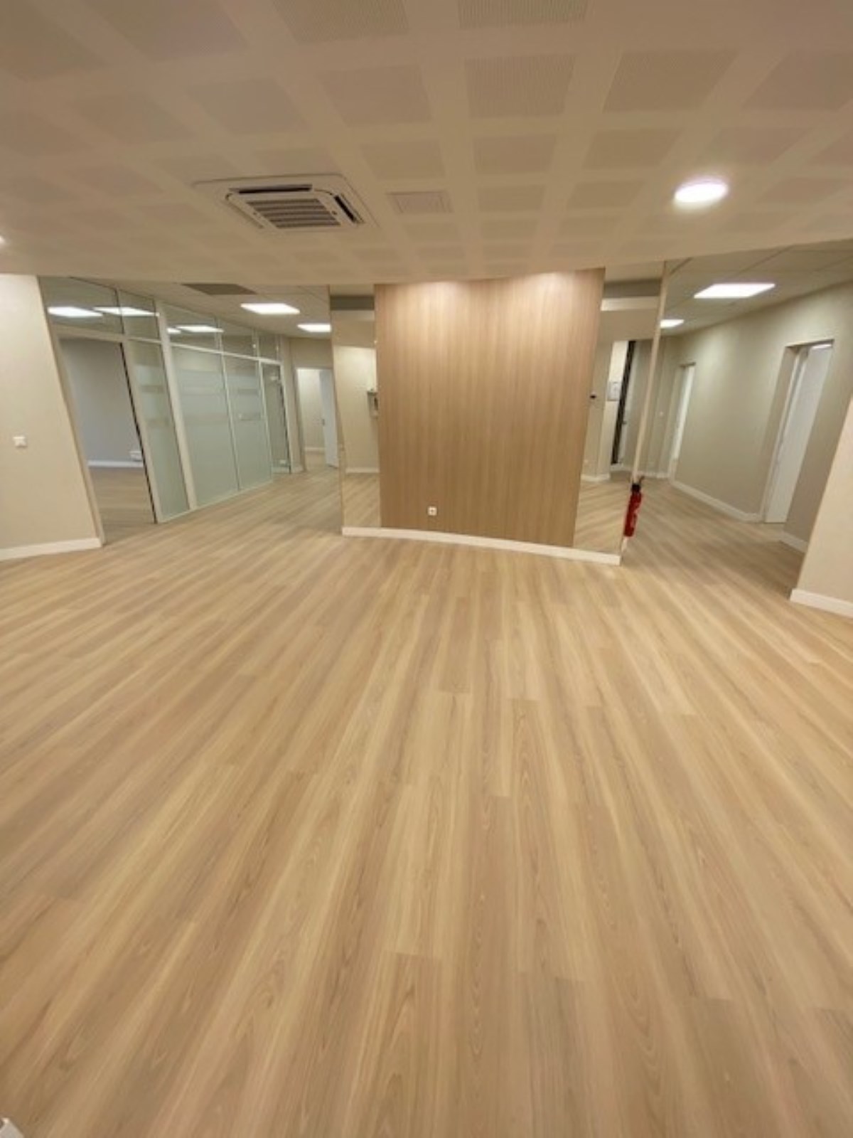 Local Professionnel  - 600m²