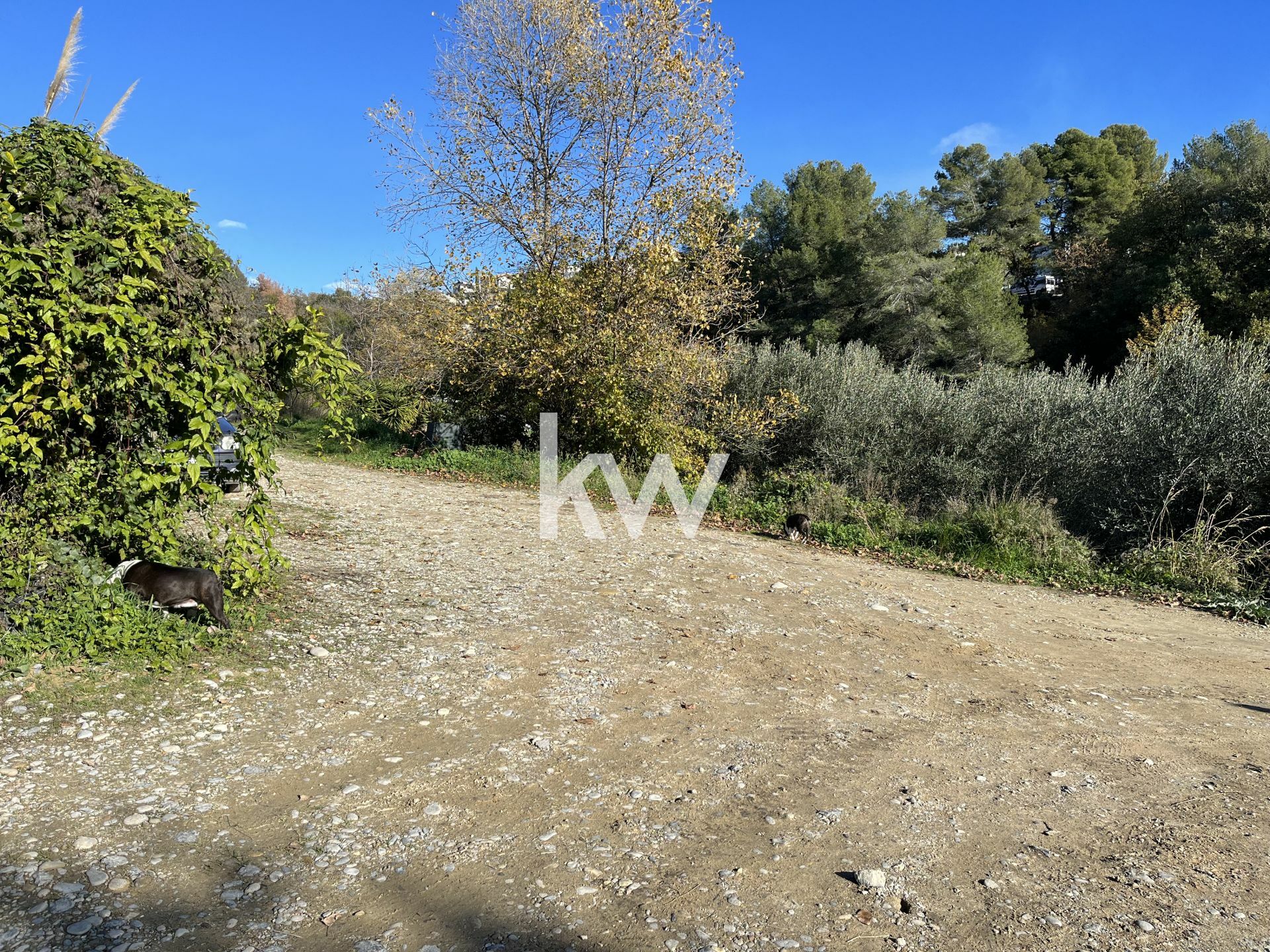 Terrain  - 2 079m²