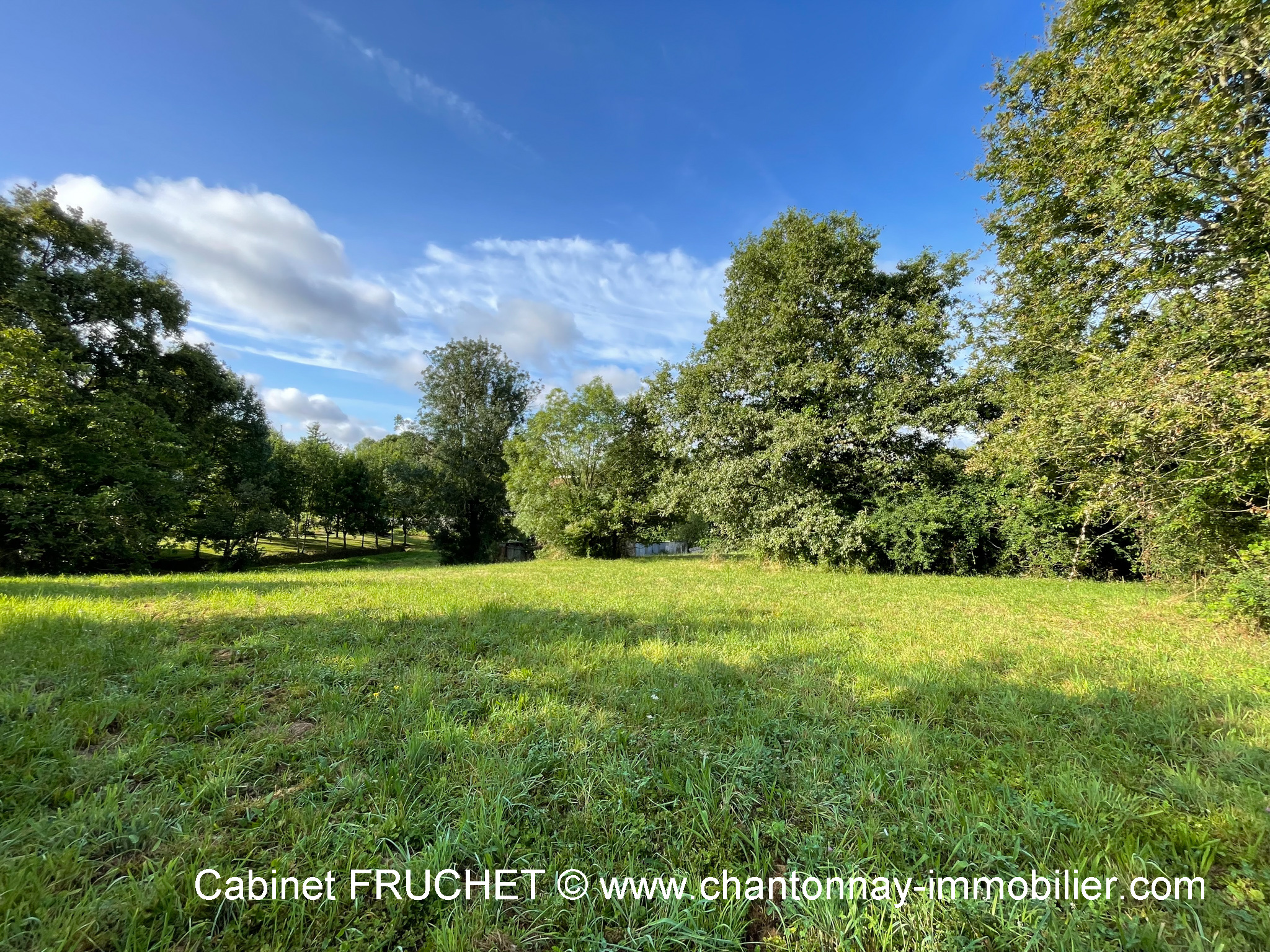 Terrain  - 3 050m² - CHANTONNAY