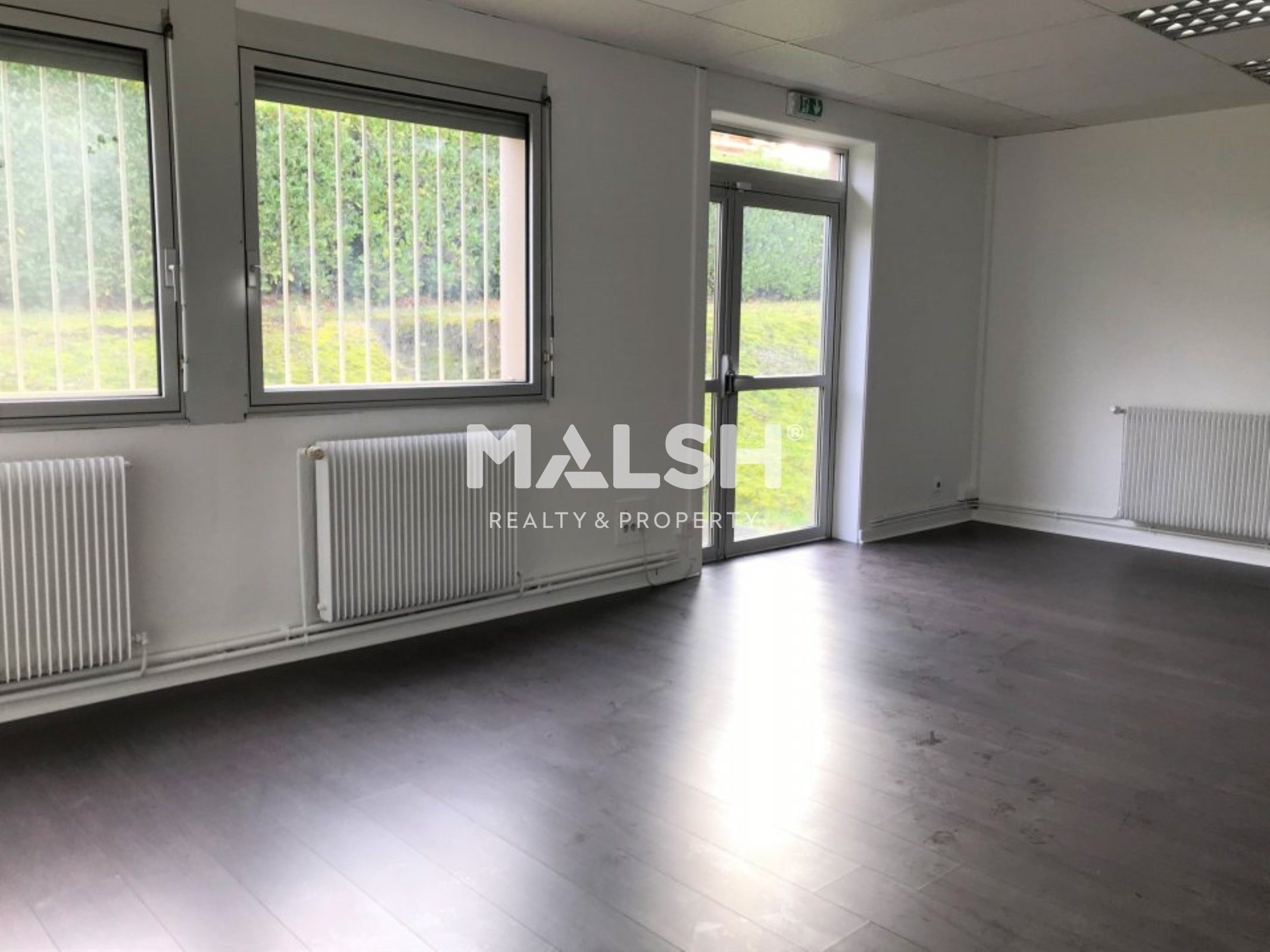 Local Professionnel  - 250m²