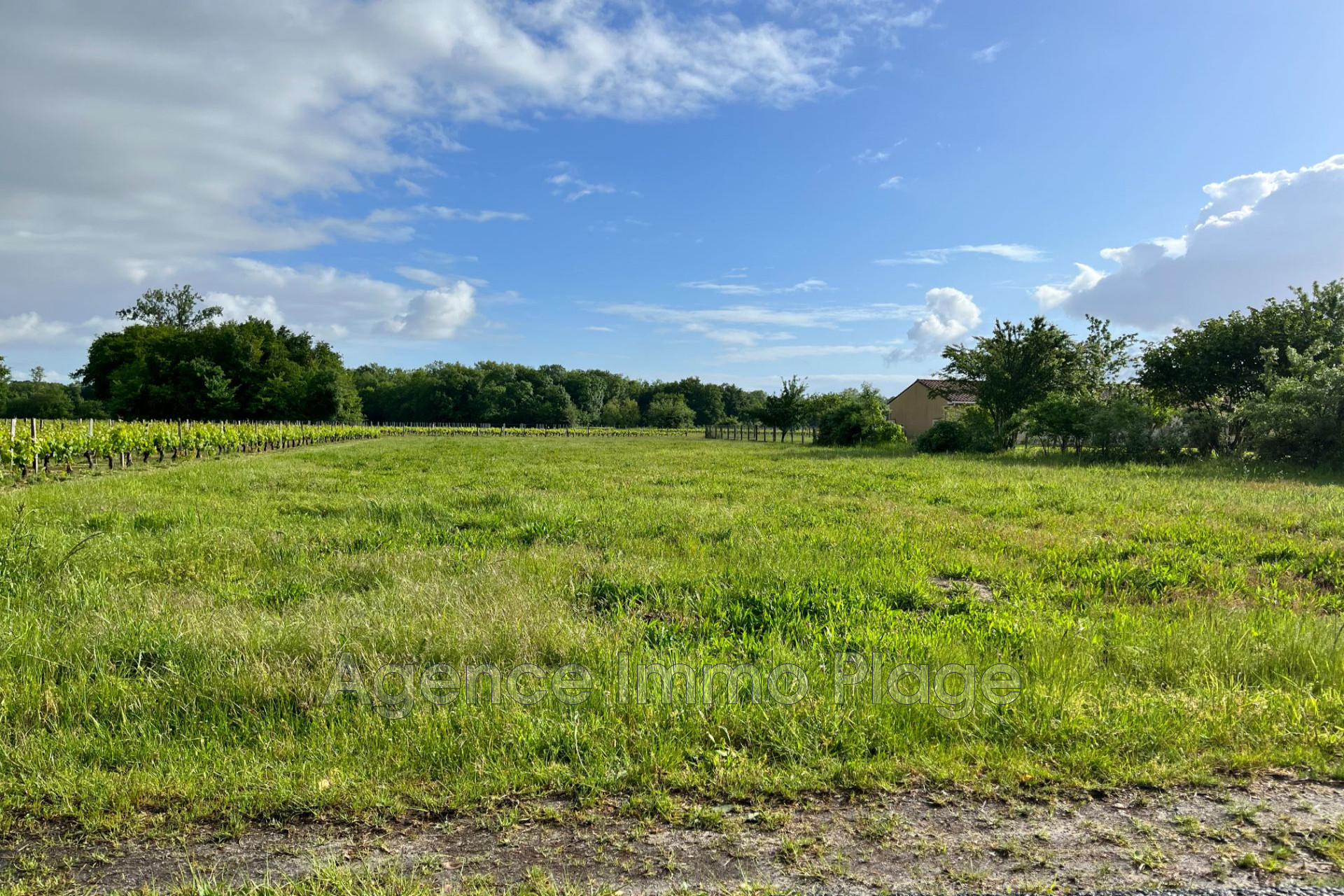 Terrain  - 948m² - CIVRAC EN MEDOC