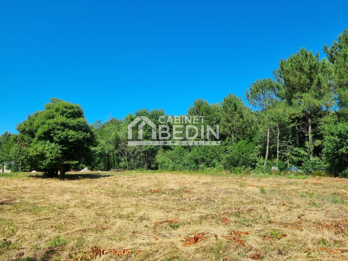 Terrain  - 1 000m² - ST AUBIN DE MEDOC