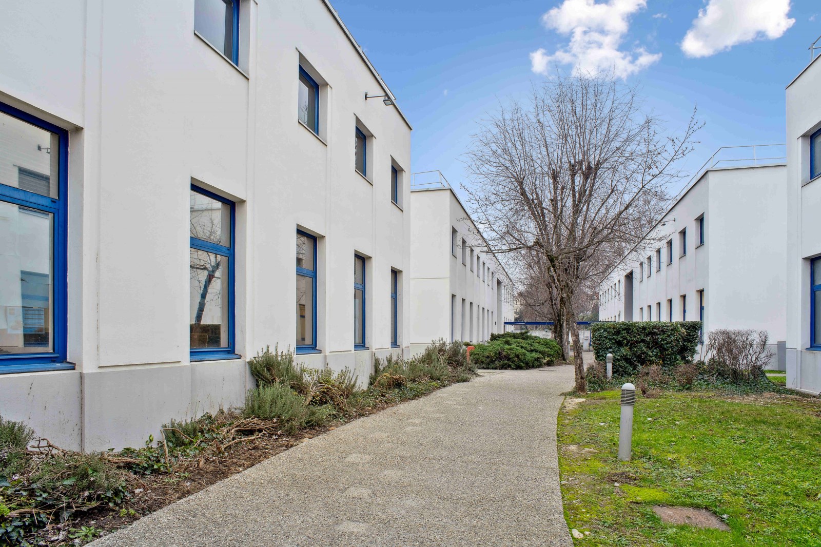 Local Professionnel  - 990m² - VILLEURBANNE