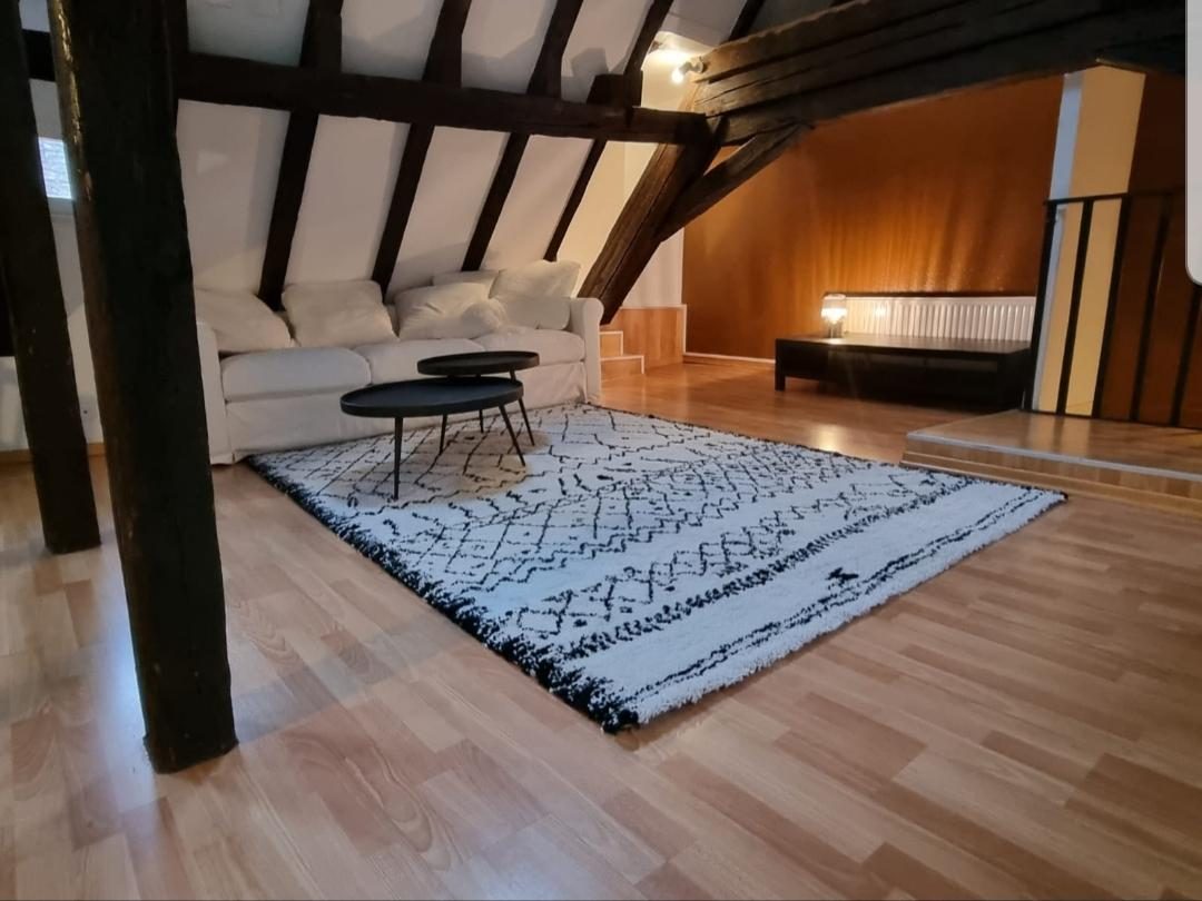 Appartement 2 pièces - 47m² - STRASBOURG