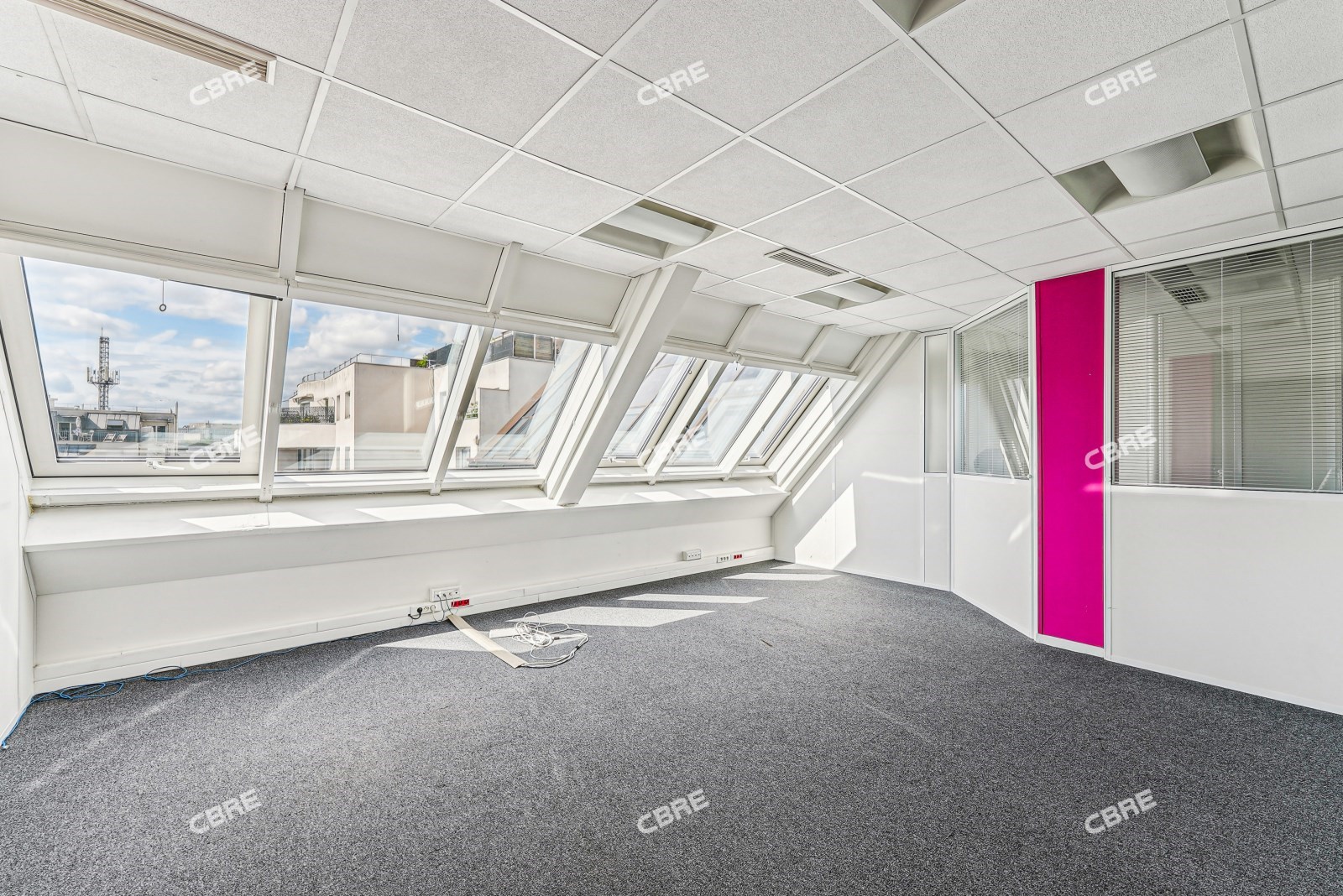 Local Professionnel  - 883m²