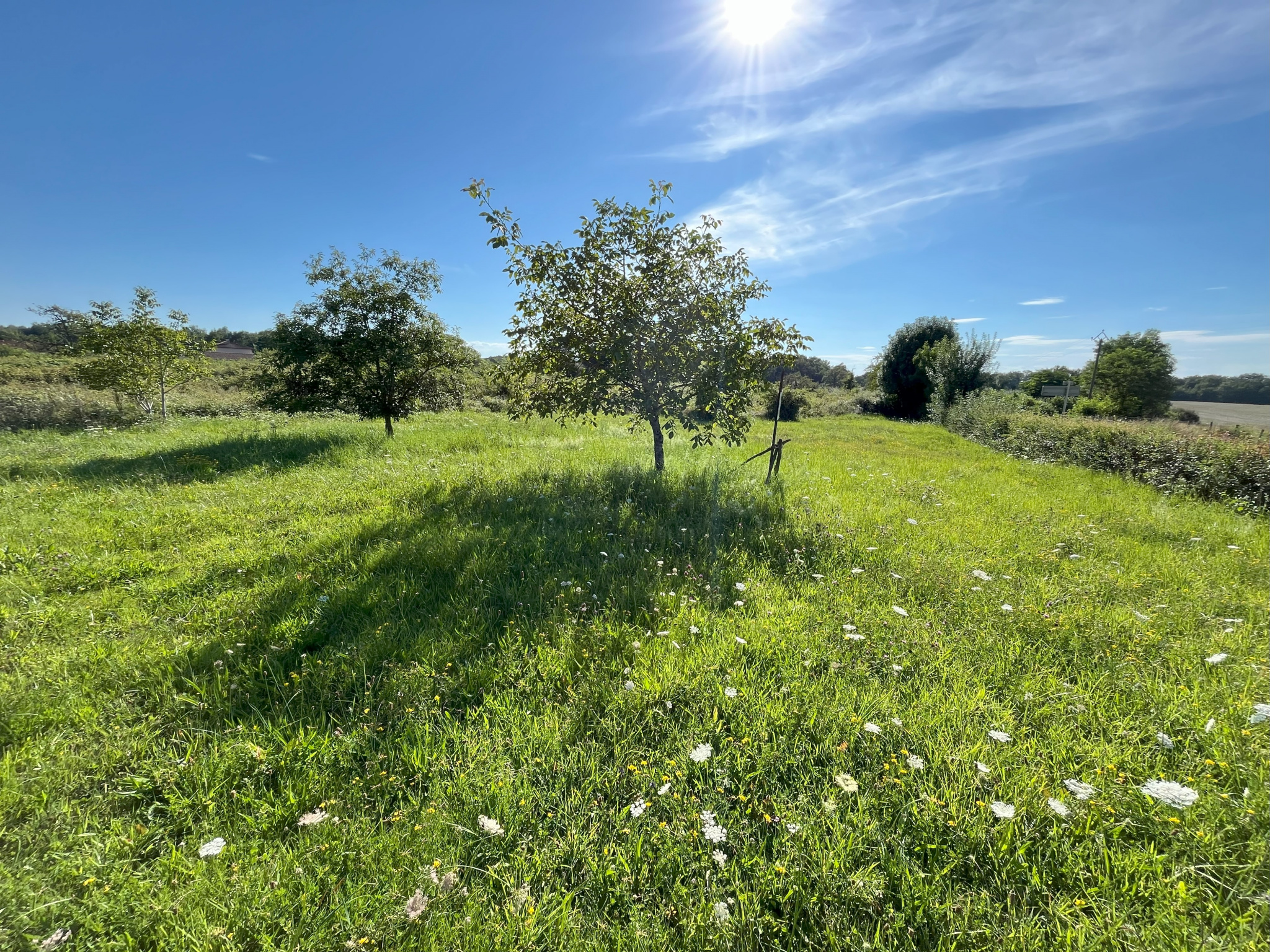 Terrain  - 1 221m² - BOISSEY