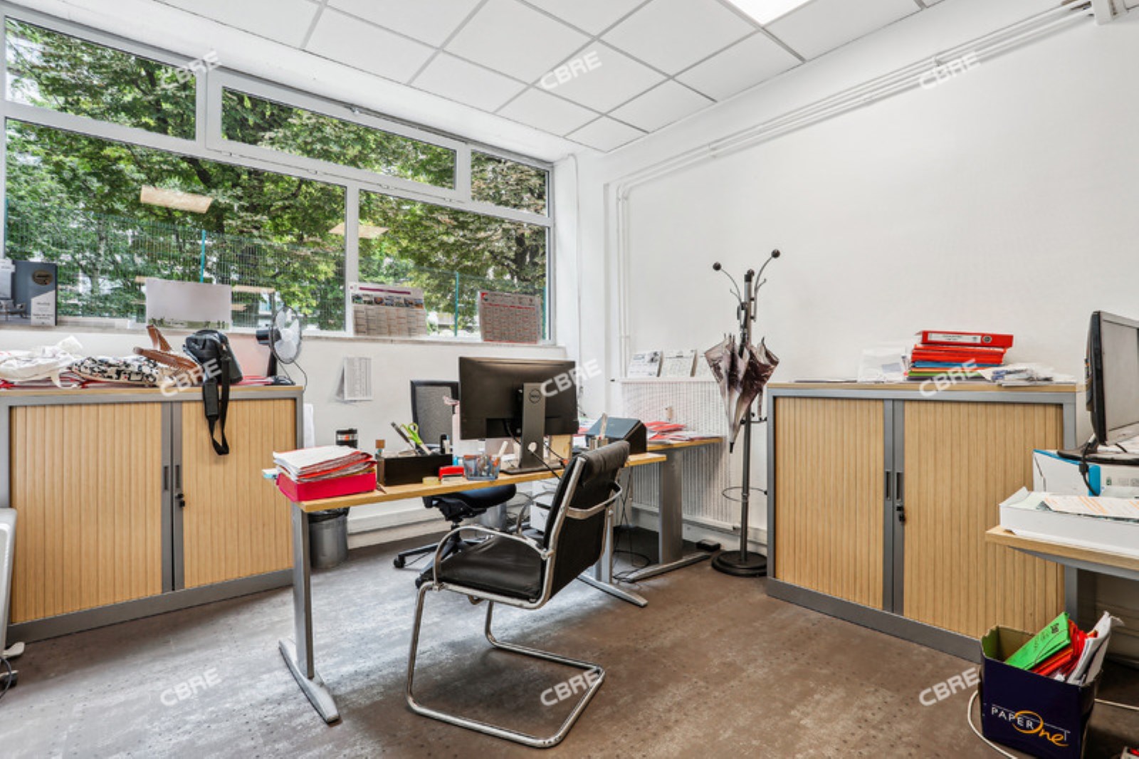 Local Professionnel  - 304m²