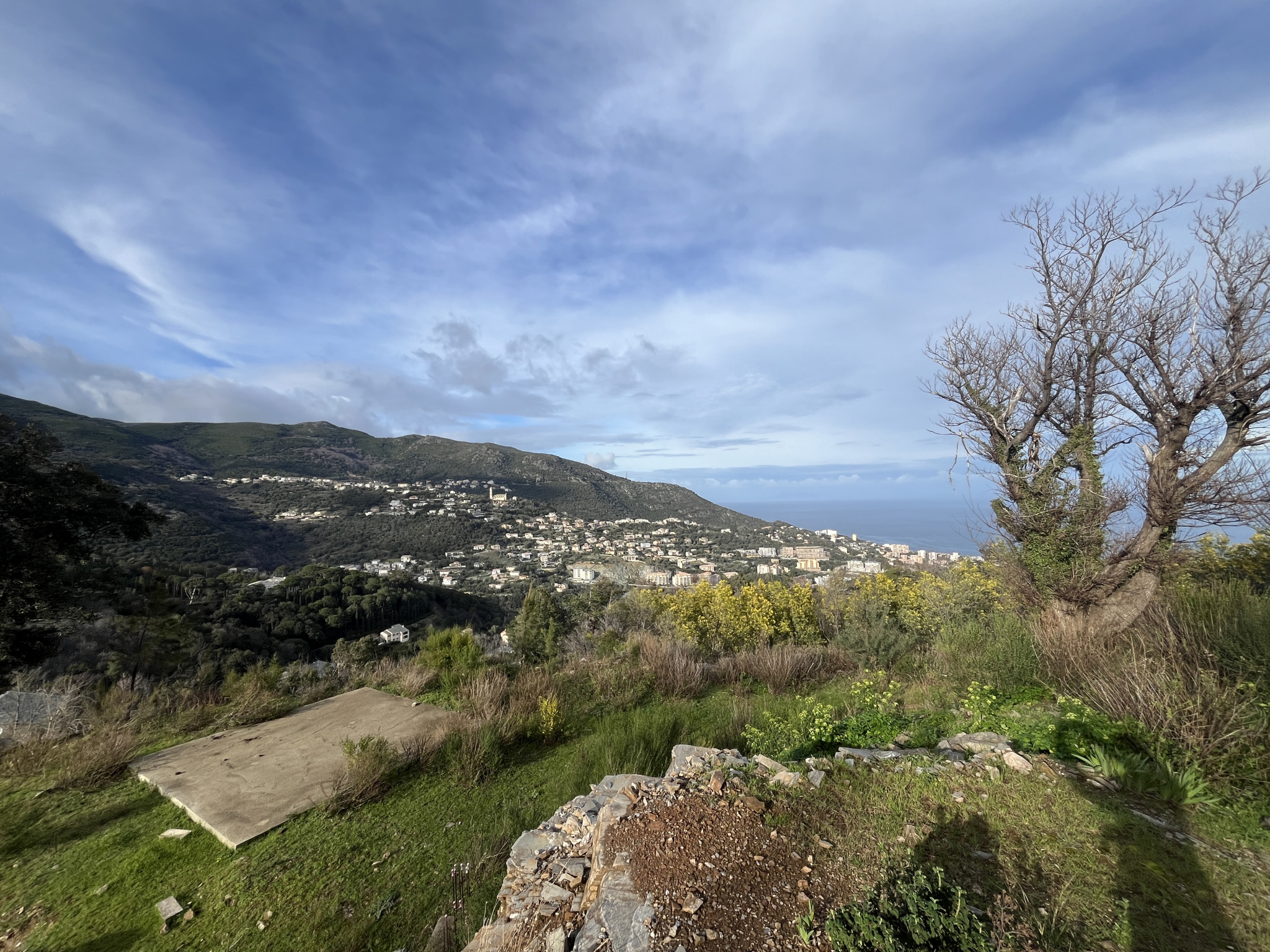 Terrain  - 1 935m² - BASTIA