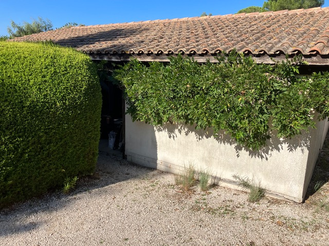 Maison 3 pièces - 36m² - BORMES LES MIMOSAS