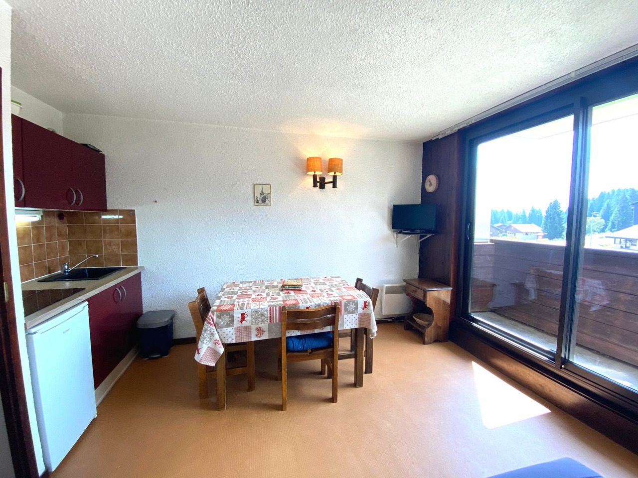 Appartement 1 pièce - 20m² - LE PRAZ DE LYS