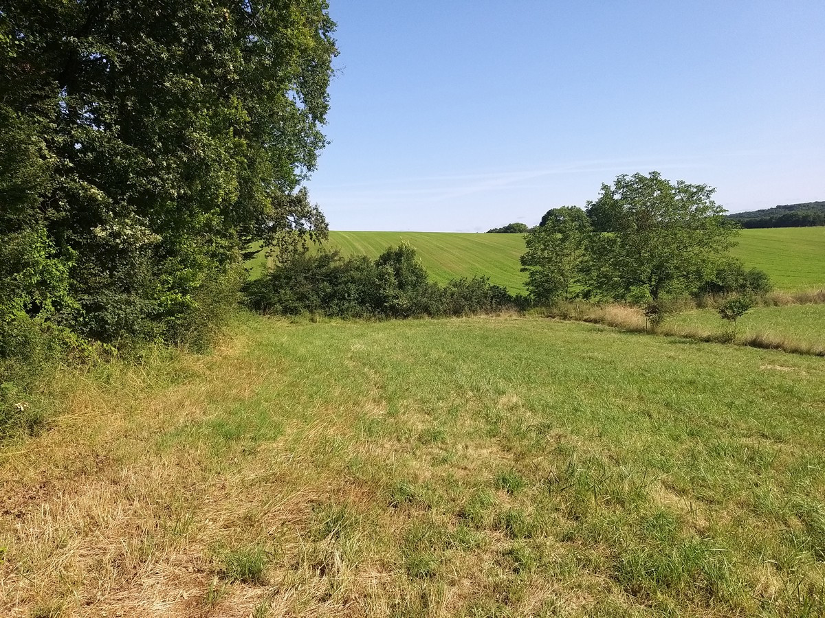 Terrain  - 7 000m² - GARAT