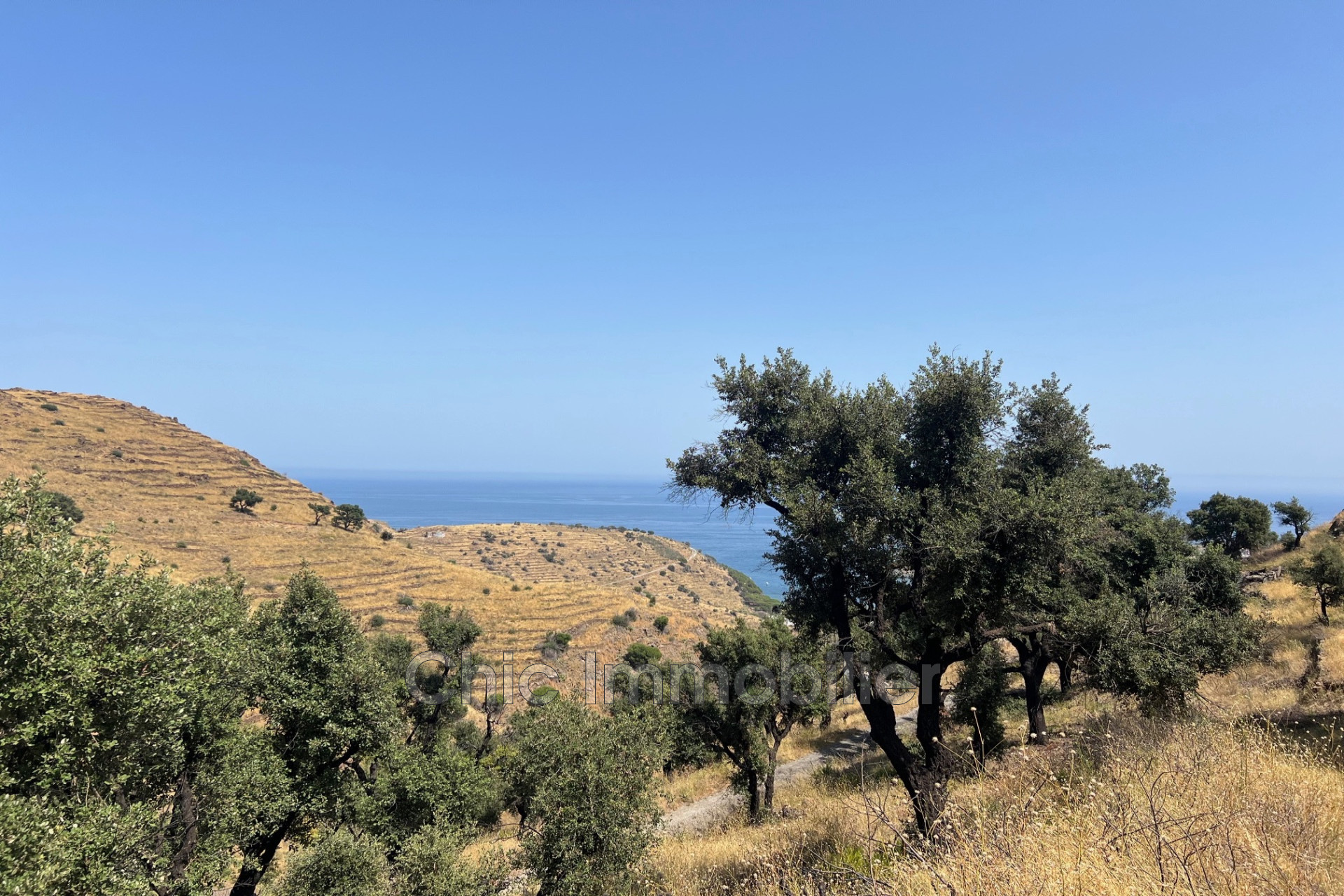 Terrain  - 31 779m² - BANYULS SUR MER