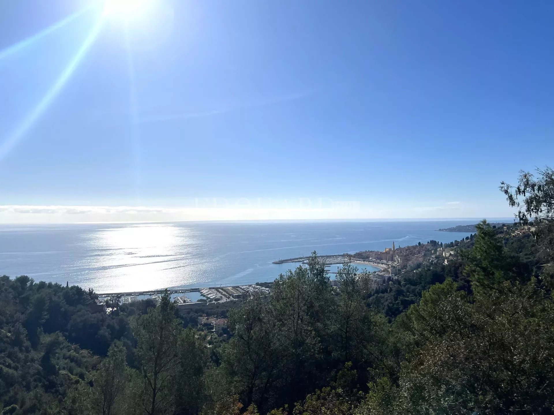 Terrain  - 40 011m² - MENTON