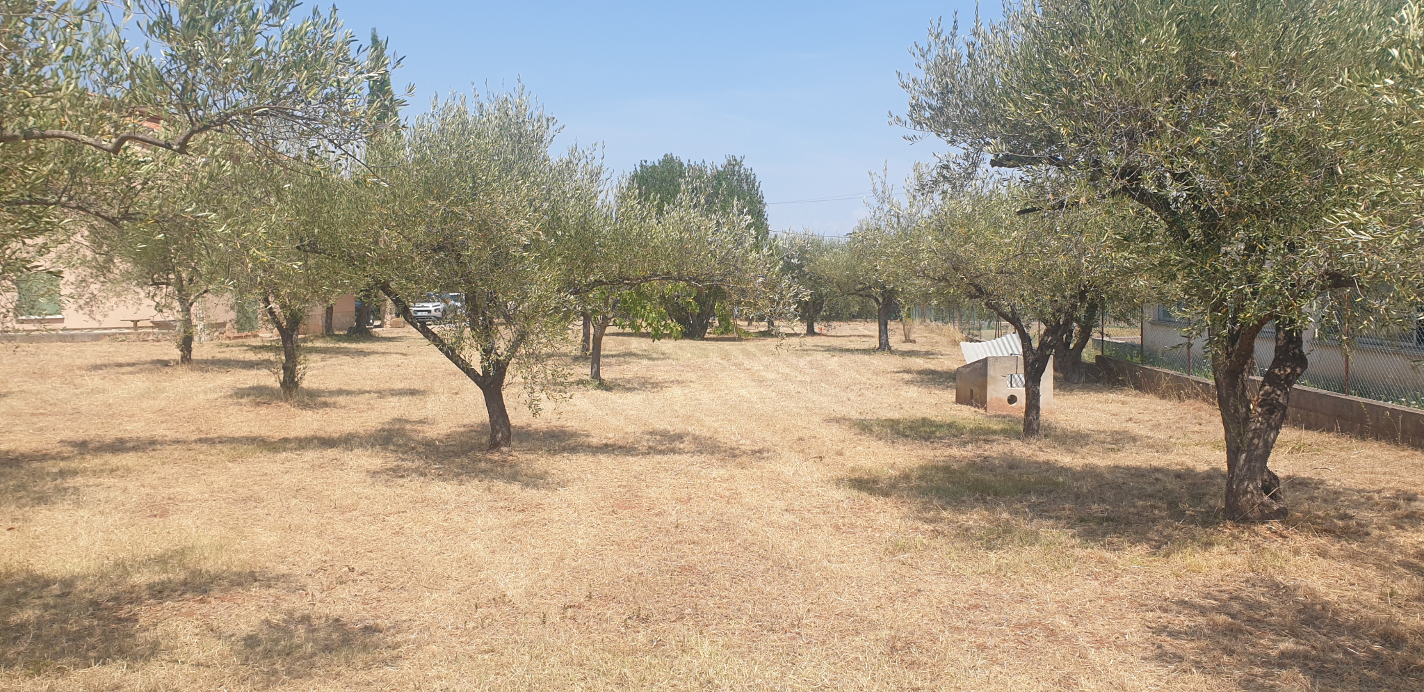 Terrain  - 1 000m² - GONFARON