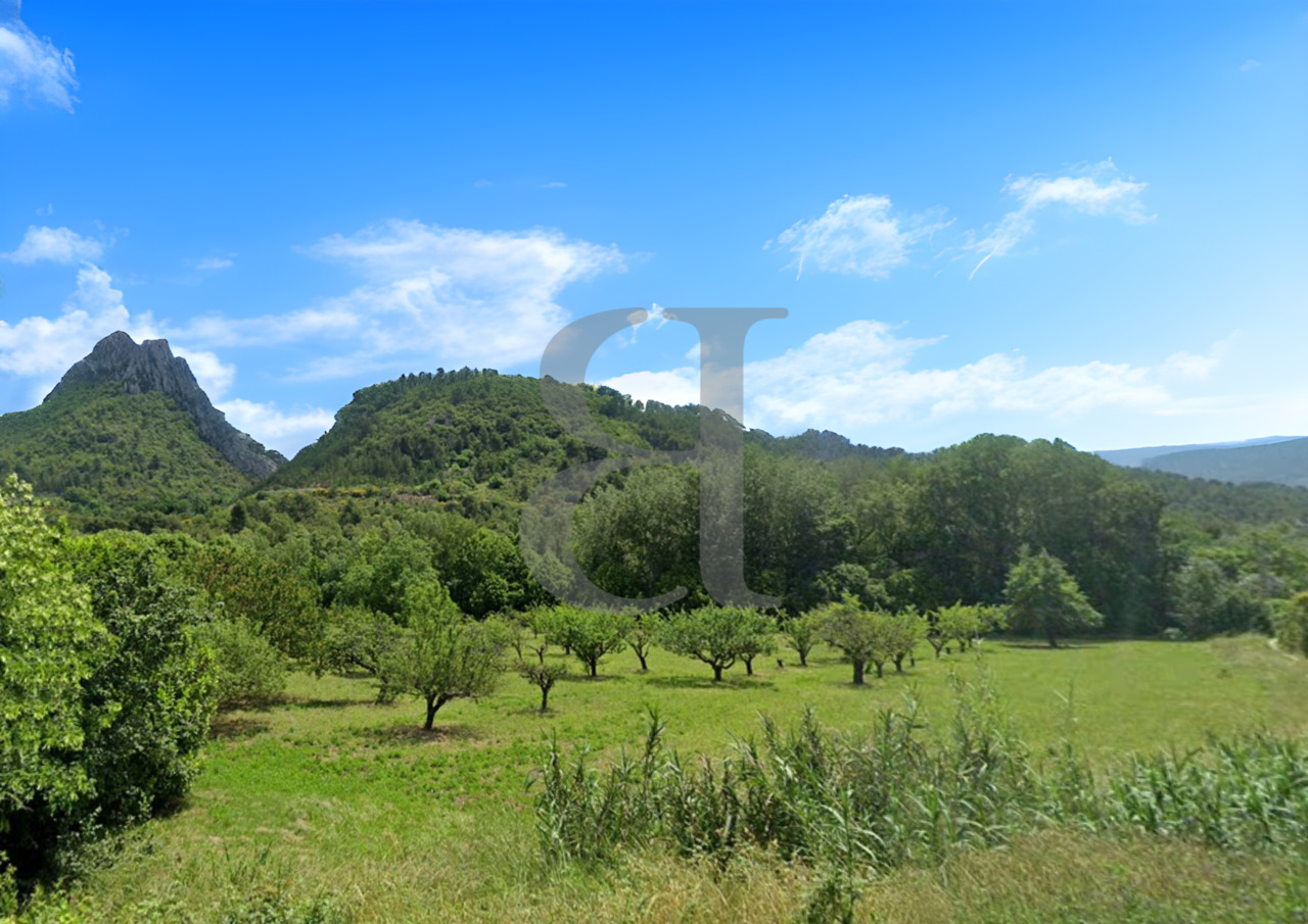 Terrain  - 11 810m² - BUIS LES BARONNIES