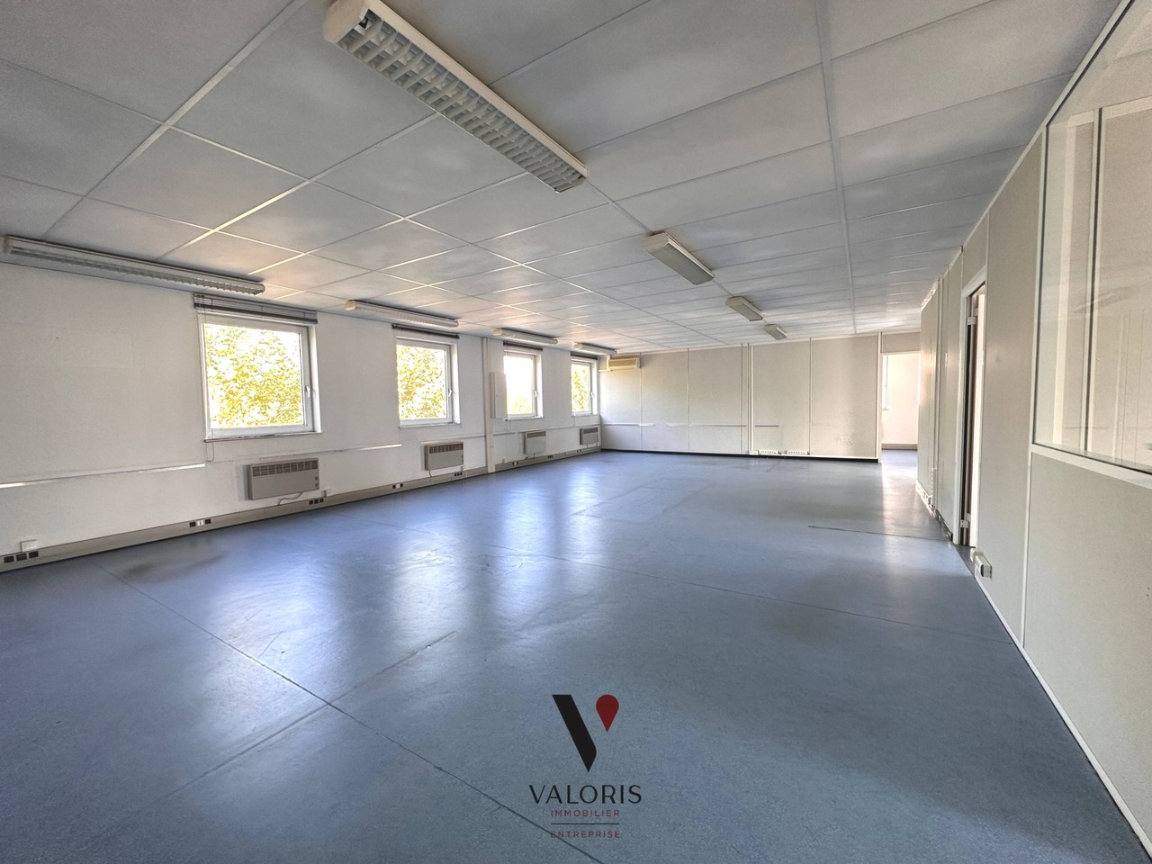 Local Professionnel  - 216m² - GRENOBLE