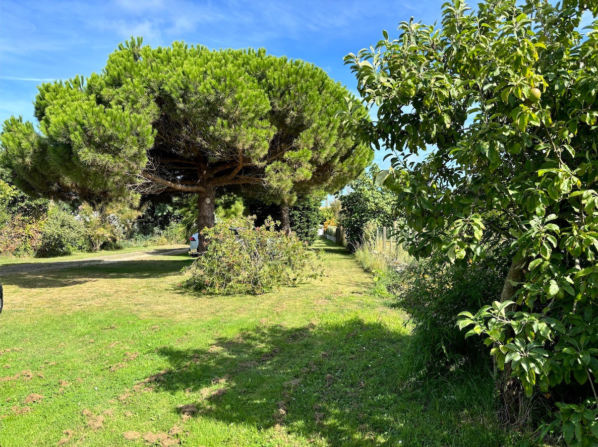 Terrain  - NOIRMOUTIER EN L ILE