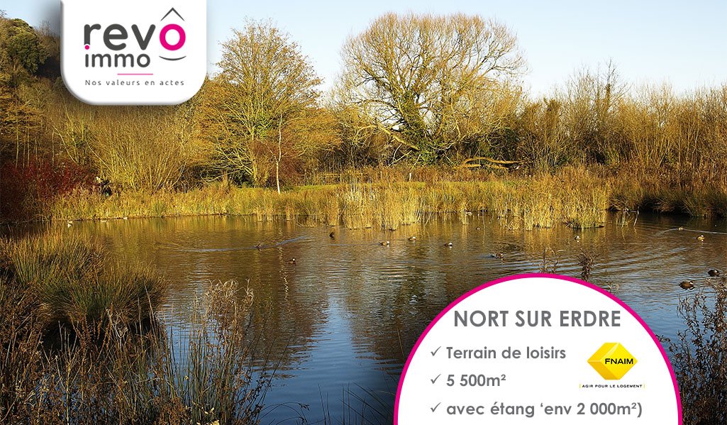 Terrain  - 5 500m² - NORT SUR ERDRE