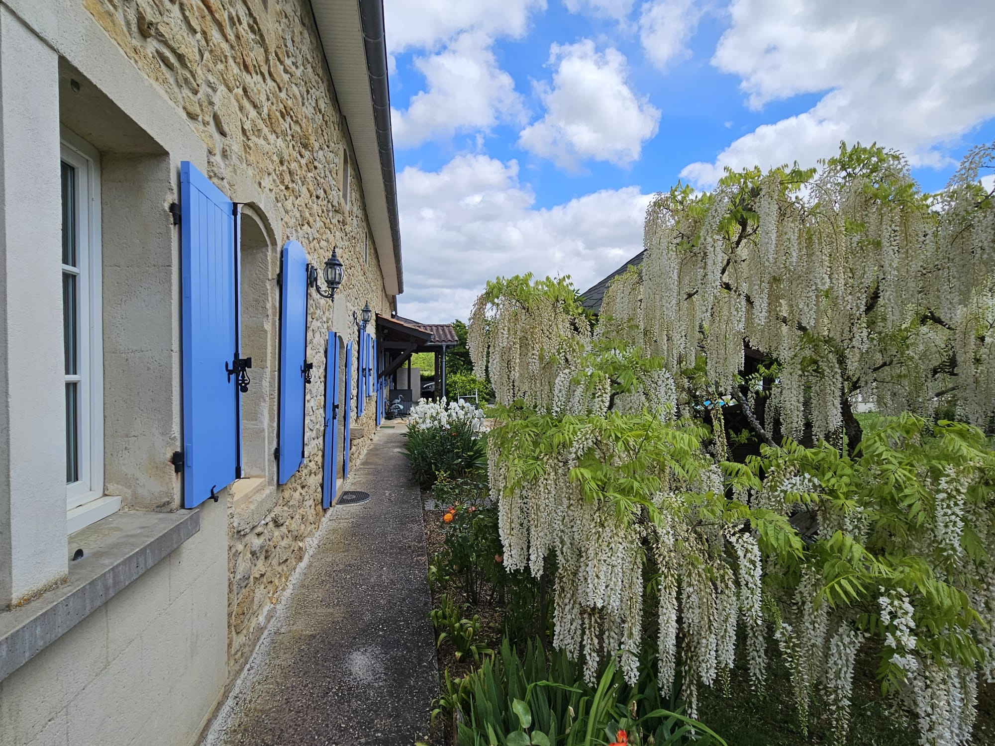 Maison 13 pièces - 350m² - SAUVETERRE DE GUYENNE