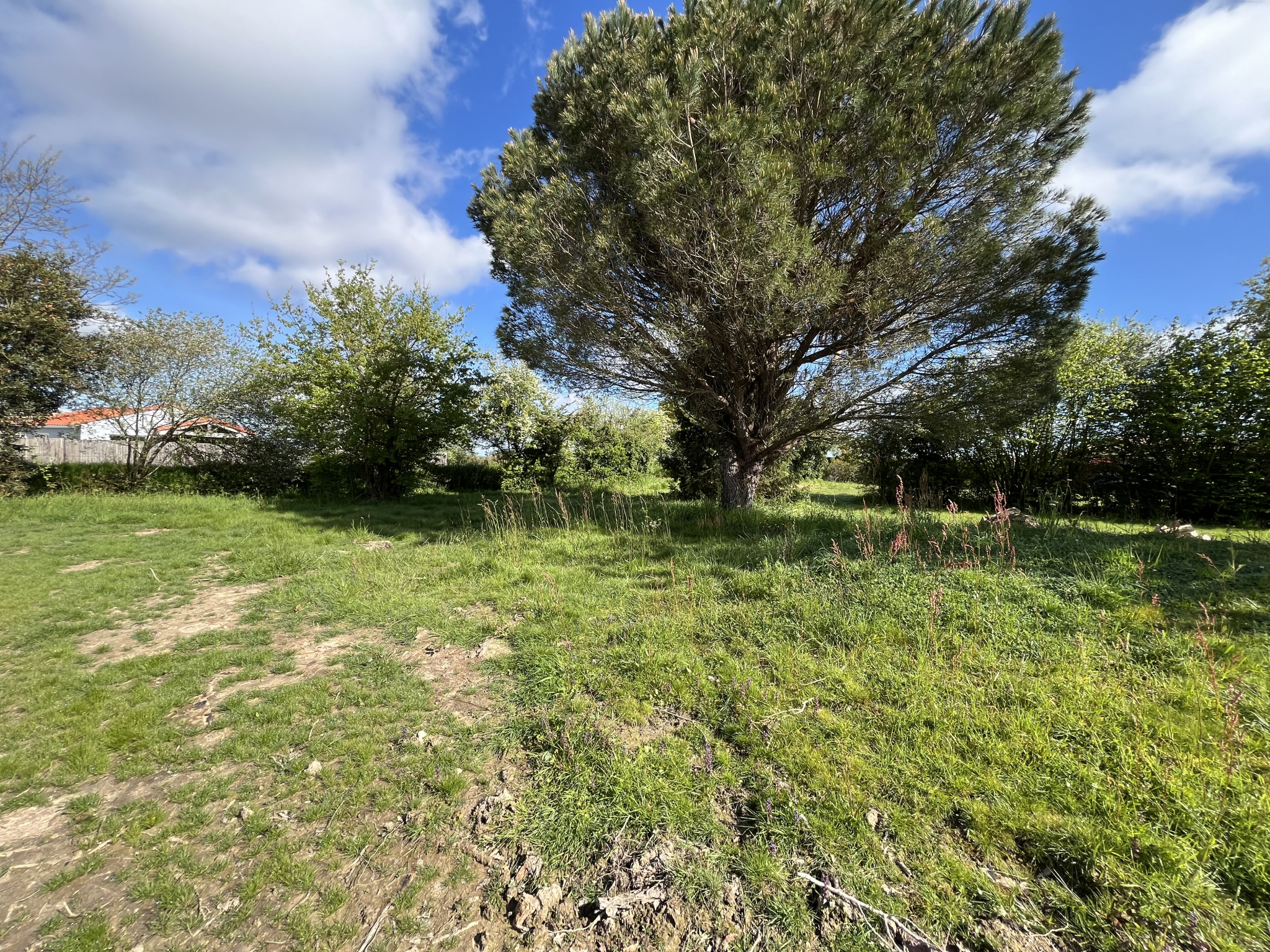 Terrain  - 769m² - ST MATHURIN