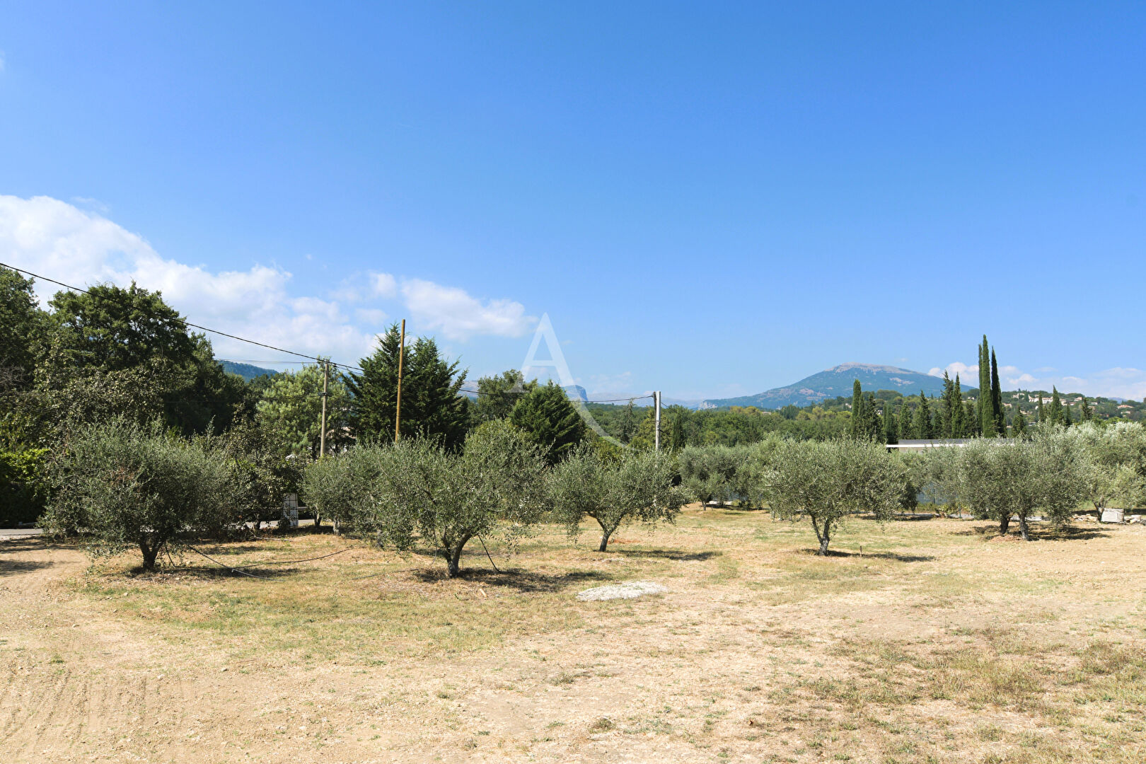 Terrain  - 1 264m²