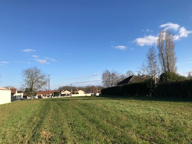 Terrain  - 2 950m²