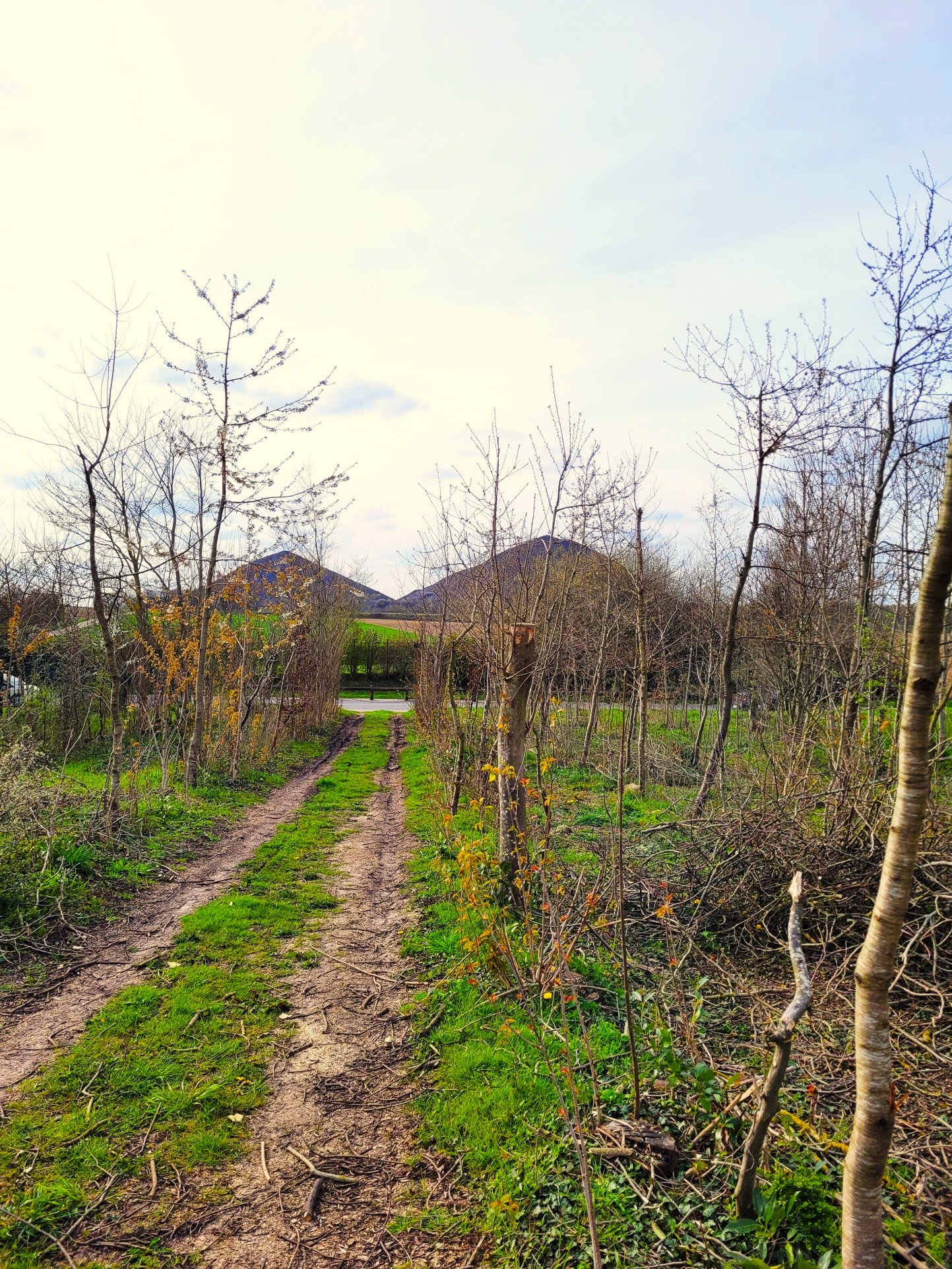 Terrain  - 1 925m² - MAISNIL LES RUITZ