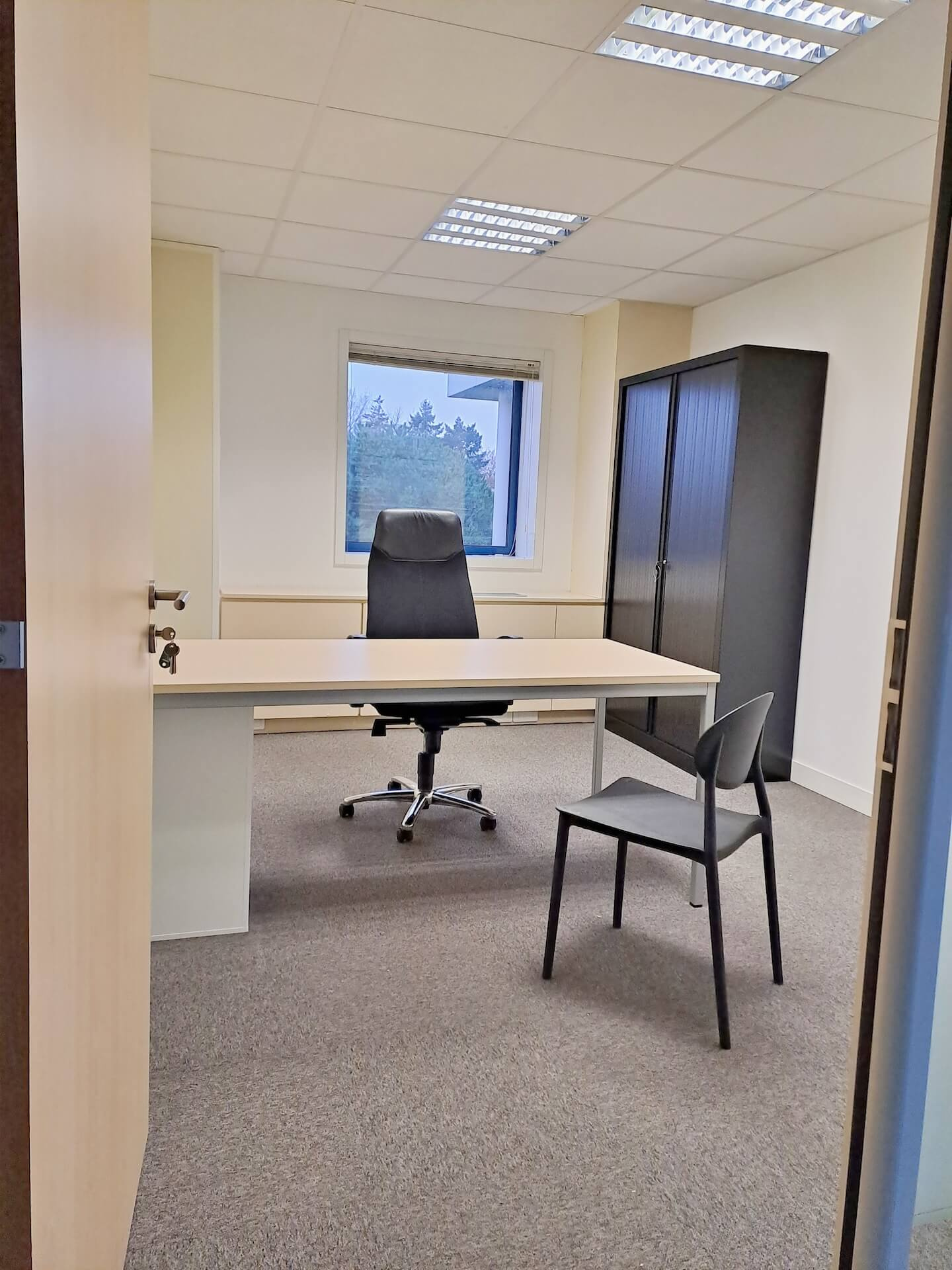 Local Professionnel  - 264m² - Y