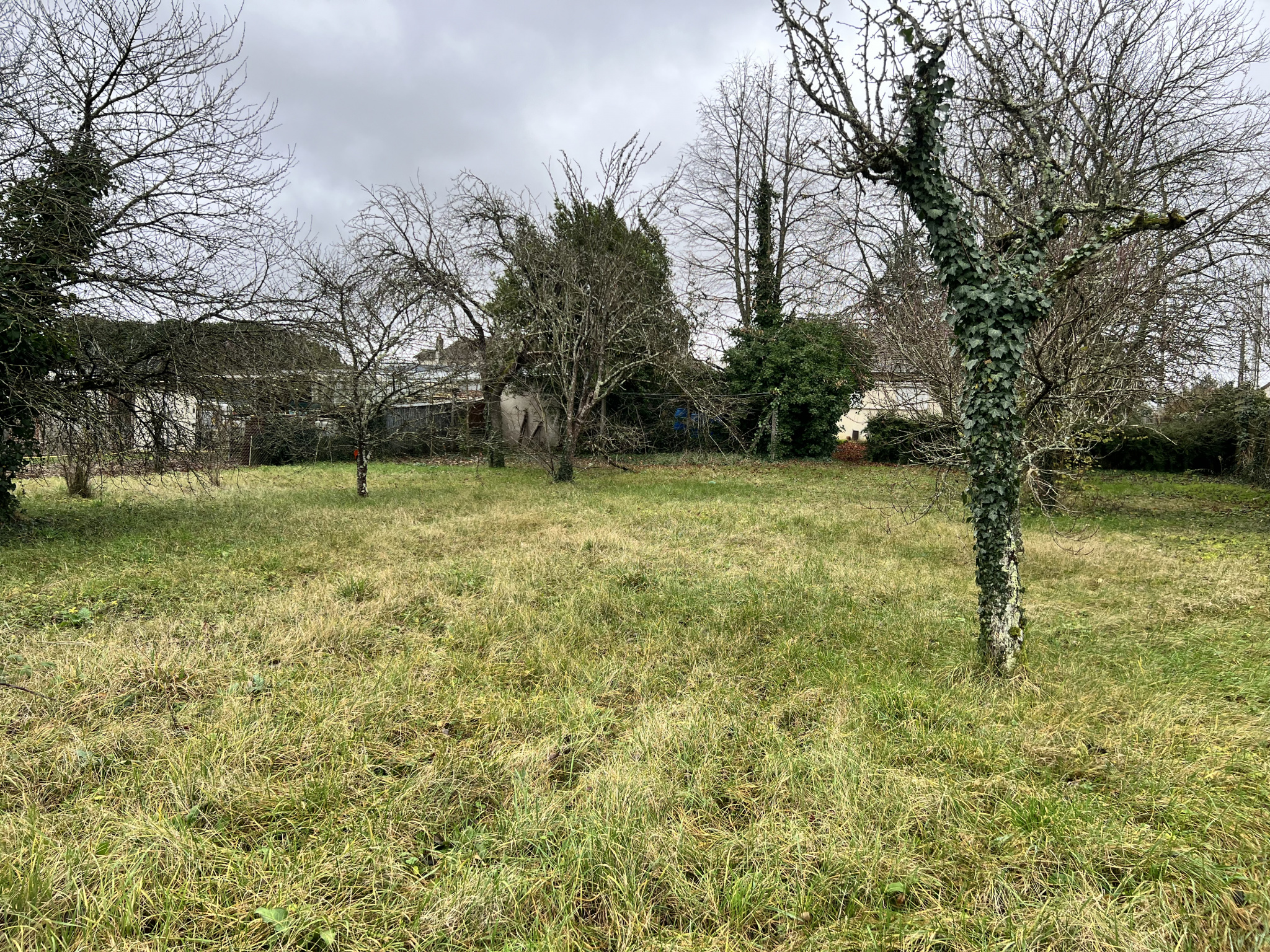 Terrain  - 1 205m² - VINEUIL