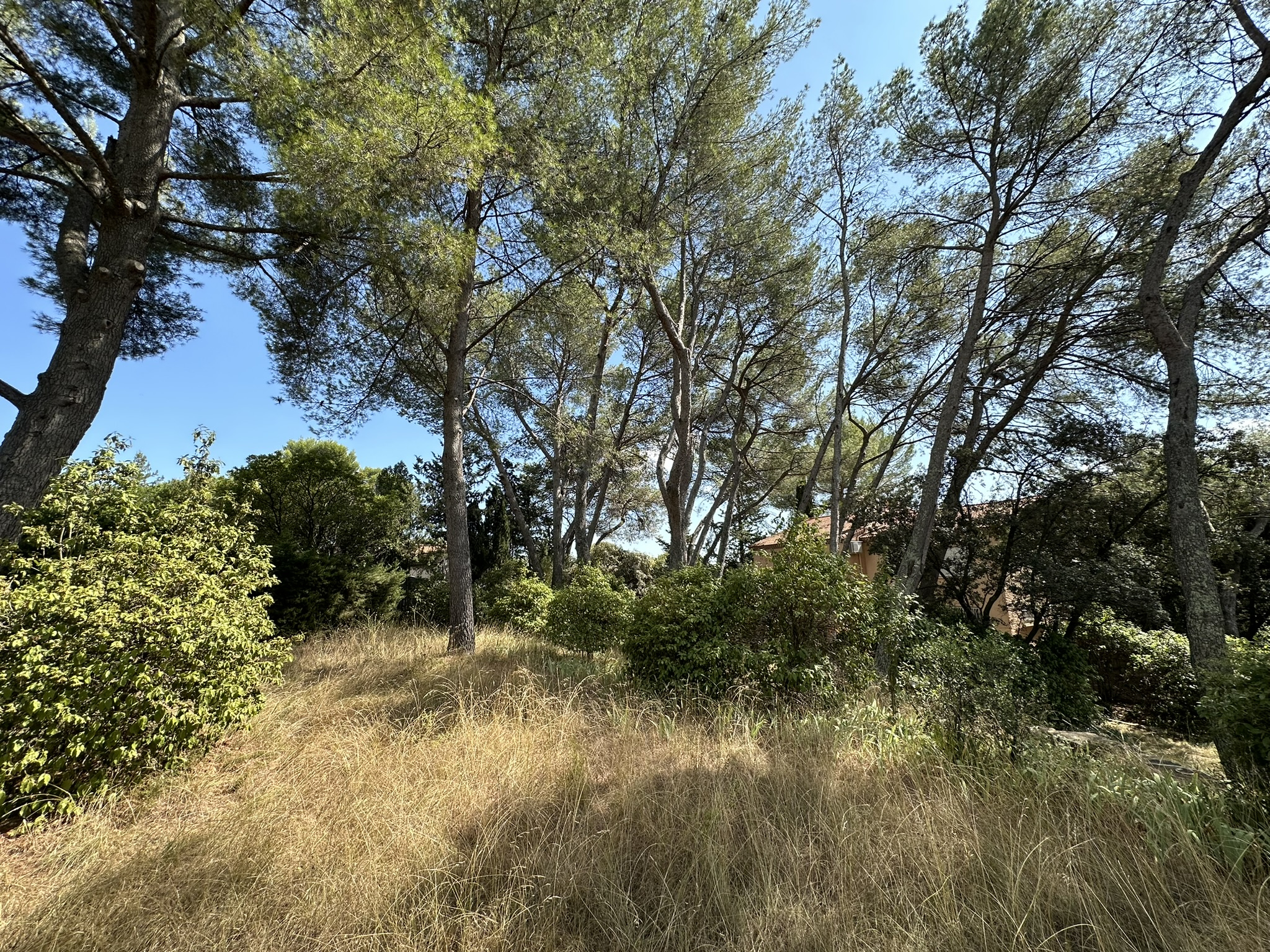 Terrain  - 1 713m² - NIMES