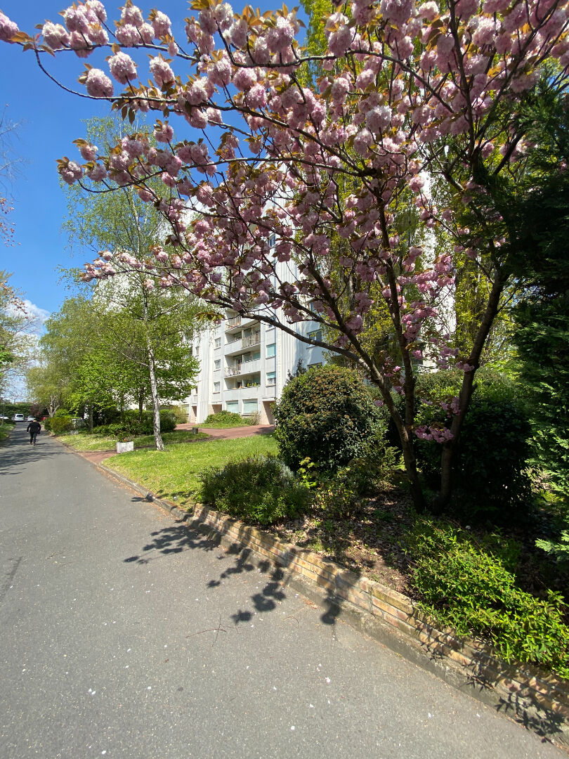 Appartement 4 pièces - 85m²