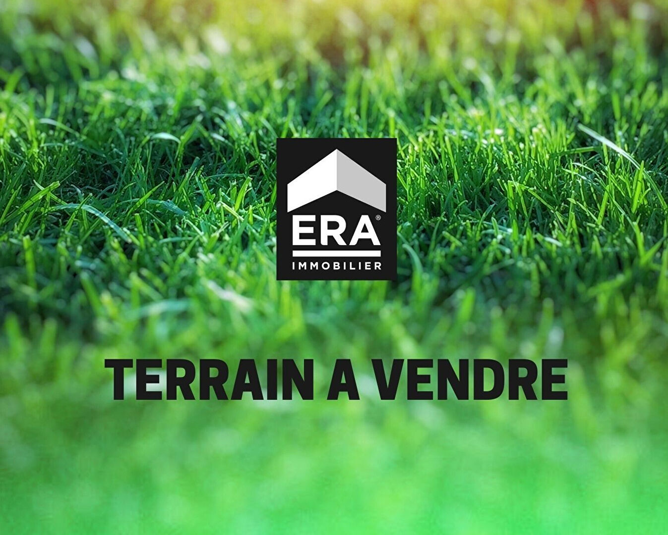 Terrain  - 525m²