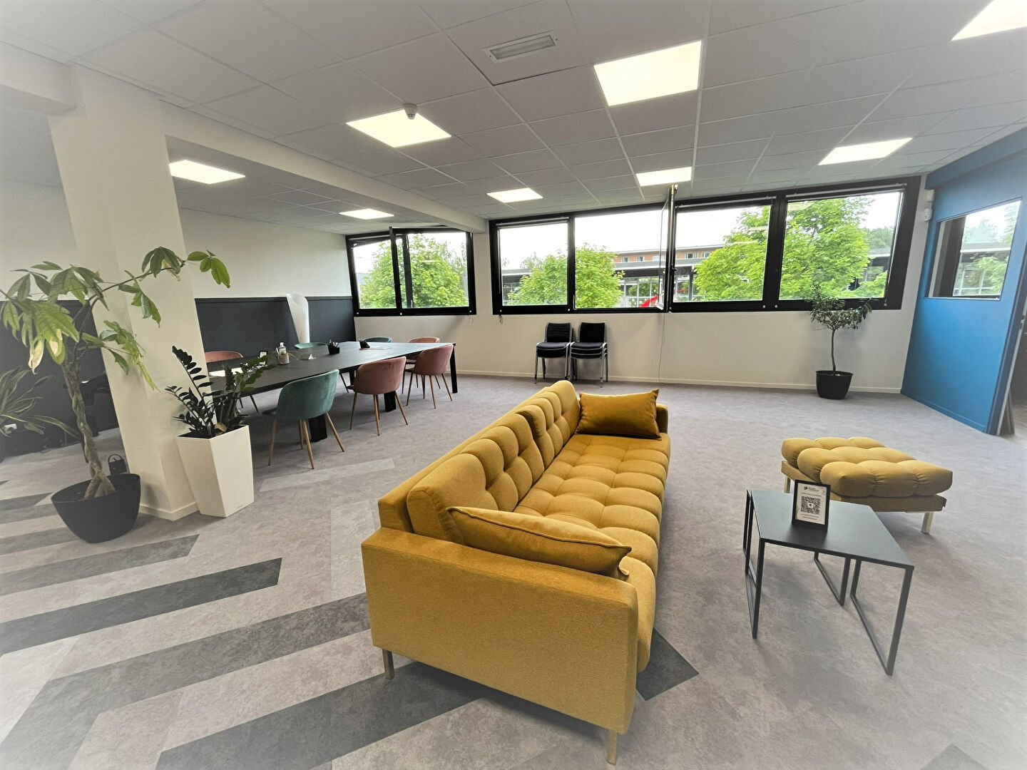 Local Professionnel  - 285m²