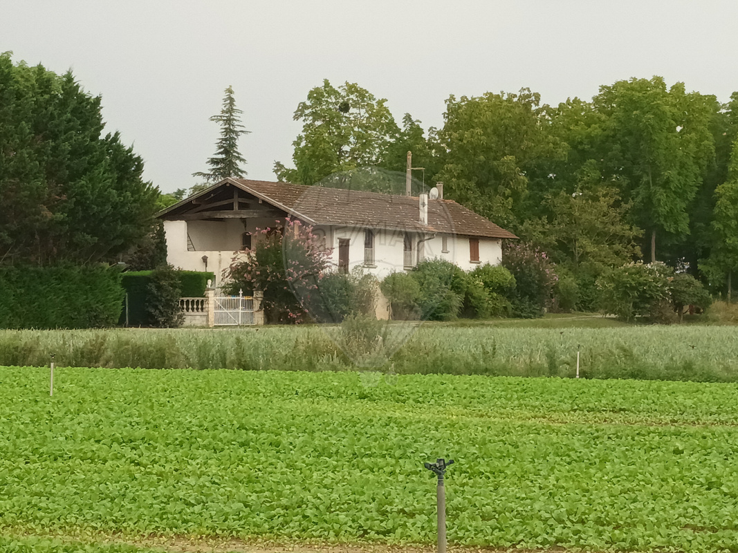 Maison 4 pièces - 150m² - ST GEORGES DE RENEINS