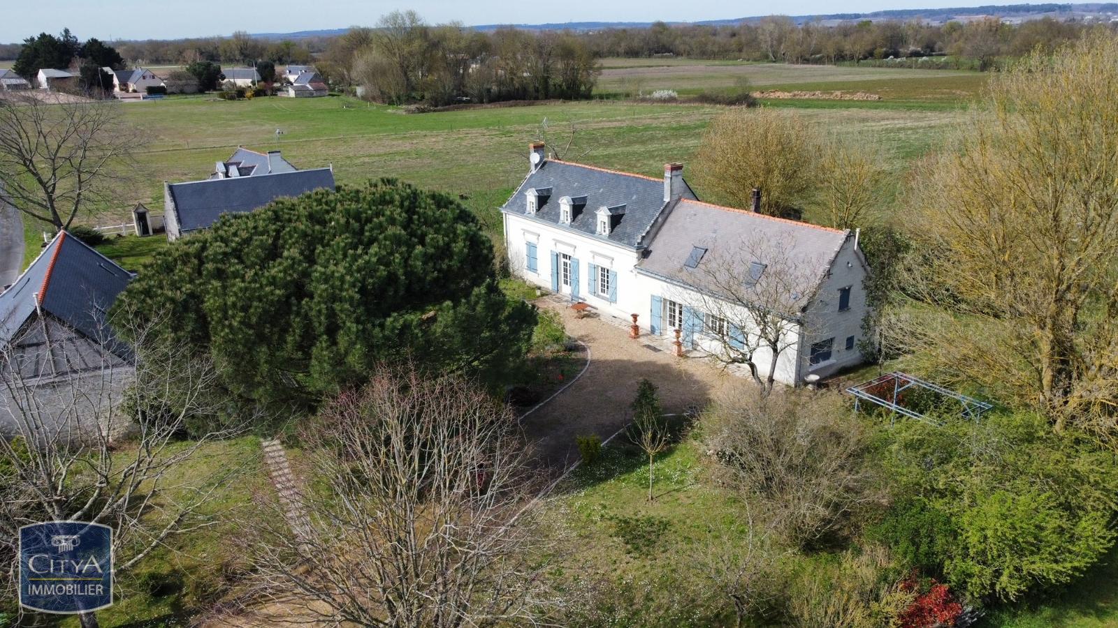 Maison 9 pièces - 270m² - CHOUZE SUR LOIRE