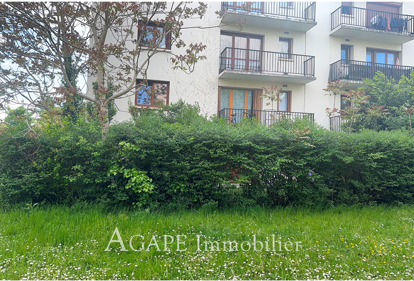 Appartement 2 pièces - 44m²